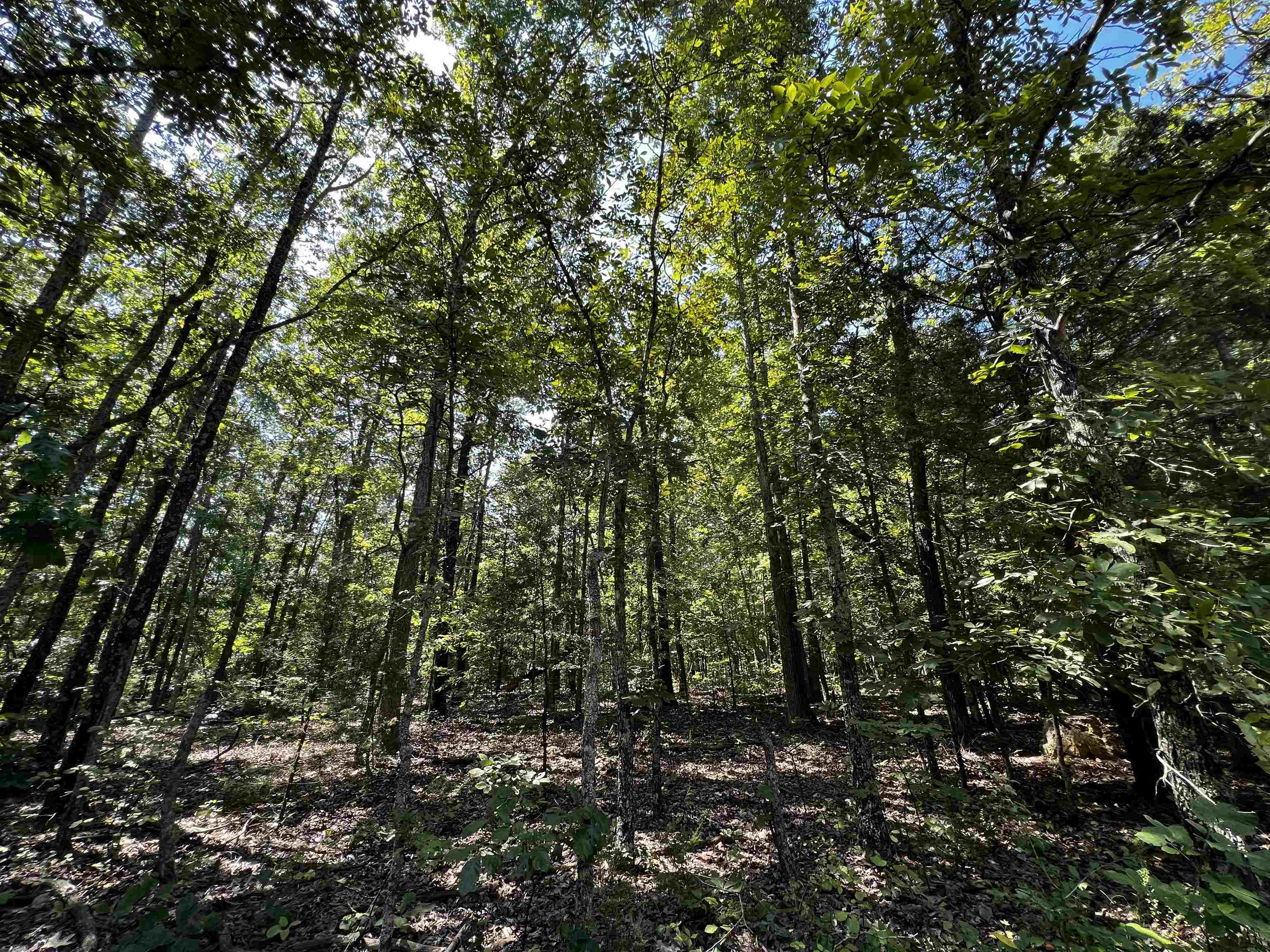 Hidden Valley Ranchette - Land