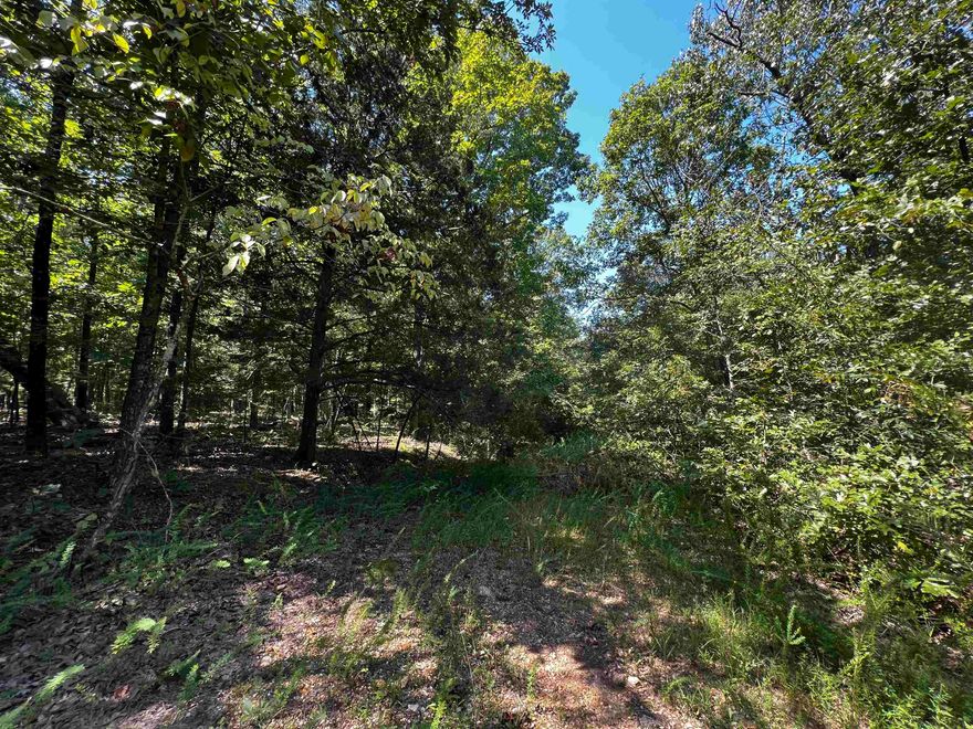 Own a piece of the Ozarks!! very affordable, level wooded 1 acre M/L wooded site for cabin, camper, mobile, camping, deer camp, good gravel road access, 5 minutes to the main Highway through Sharp co in Highland for supplies and  restaurants, with in 15 minutes or less to the towns of Ash Flat, Cherokee Village and Old Hardy town where you will find one of many access points to THE Spring River offering exciting float trips, world class fishing, kayaking or just cooling off in the amazing waters of the mighty Spring! This is your chance to own a piece of the Ozarks!!!
