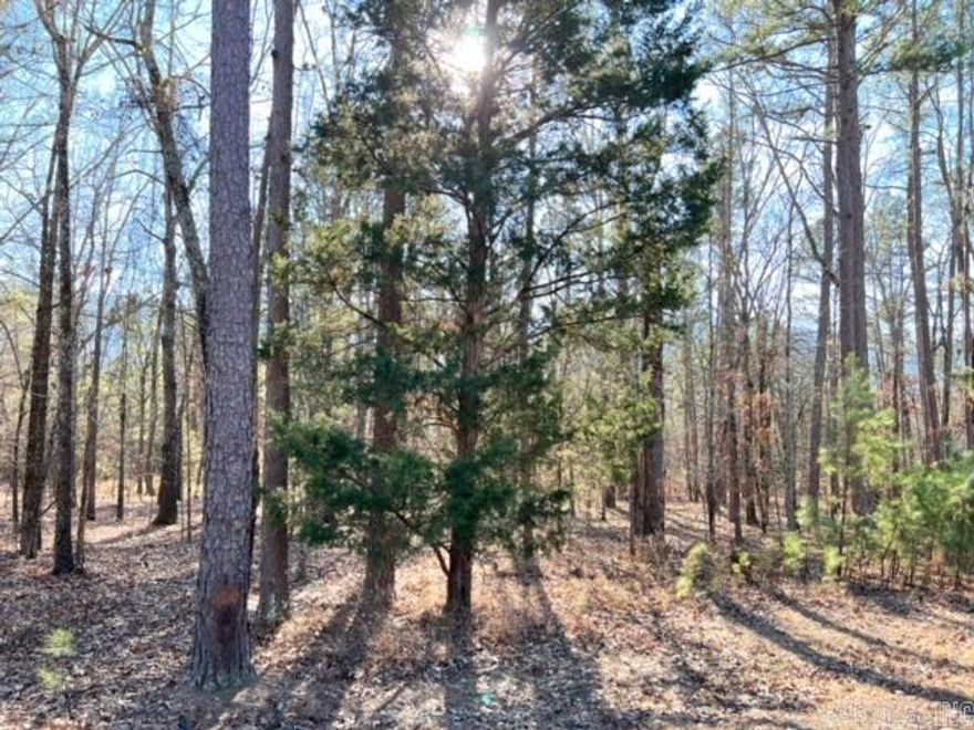 Are you dreaming of retreating to the beautiful Little Red River? This picturesque land is the perfect place to build your cozy dream home. Escape the hustle and enjoy a quiet community that offers a private community pool, boat ramp and dock on the Little Red River and minutes away from Greers Ferry Lake! This gated community offers modern amenities, access to hiking trails, boating, swimming and world-record trout fishing. Access to all the Natural State has to offer is only an offer away. Let us make your dream a reality!