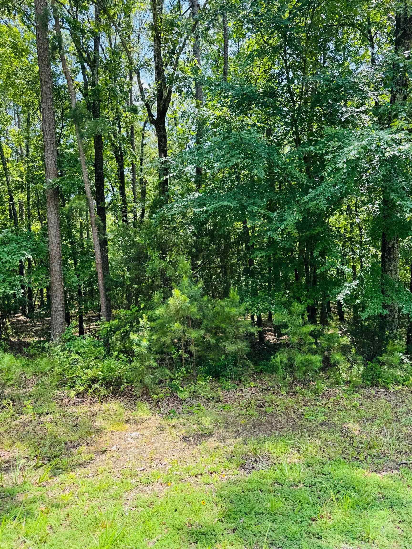 Are you dreaming of retreating to the beautiful Little Red River? This picturesque land is the perfect place to build your cozy dream home. Escape the hustle and enjoy a quiet community that offers a private community pool, boat ramp and dock on the Little Red River and minutes away from Greers Ferry Lake! This gated community offers modern amenities, access to hiking trails, boating, swimming and world-record trout fishing. Access to all the Natural State has to offer is only an offer away. Let us make your dream a reality!