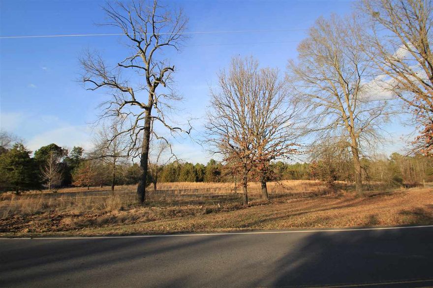 Looking for a place in the country to call home, but still want to be close to Conway schools and amenities?  This is it!  This parcel is already partially cleared, and has septic system permit.  Property located 0.4 mile from Beaverfork Lake Park.  Additional acreage available. Reference MLS 16035341 and 16035340. [see Agent Remarks]