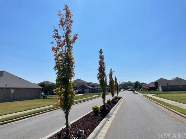 CYPRESS CROSSING - Residential
