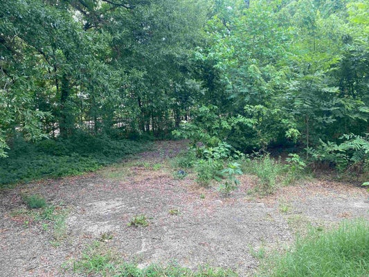 201 B ST, PARAGOULD, AR 72450 - Image 8042bf9dd6087707f06aeca7d0d628b9/3852725328