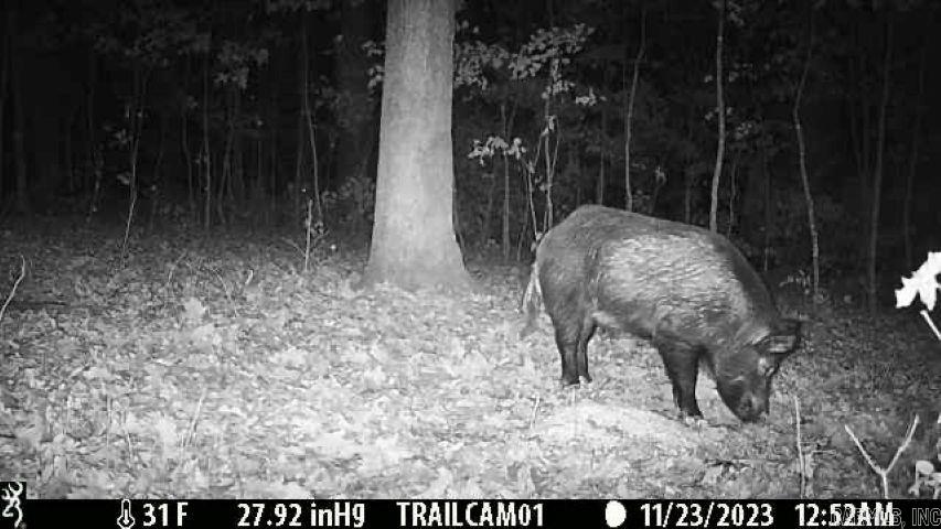 Metes & Bounds - Land