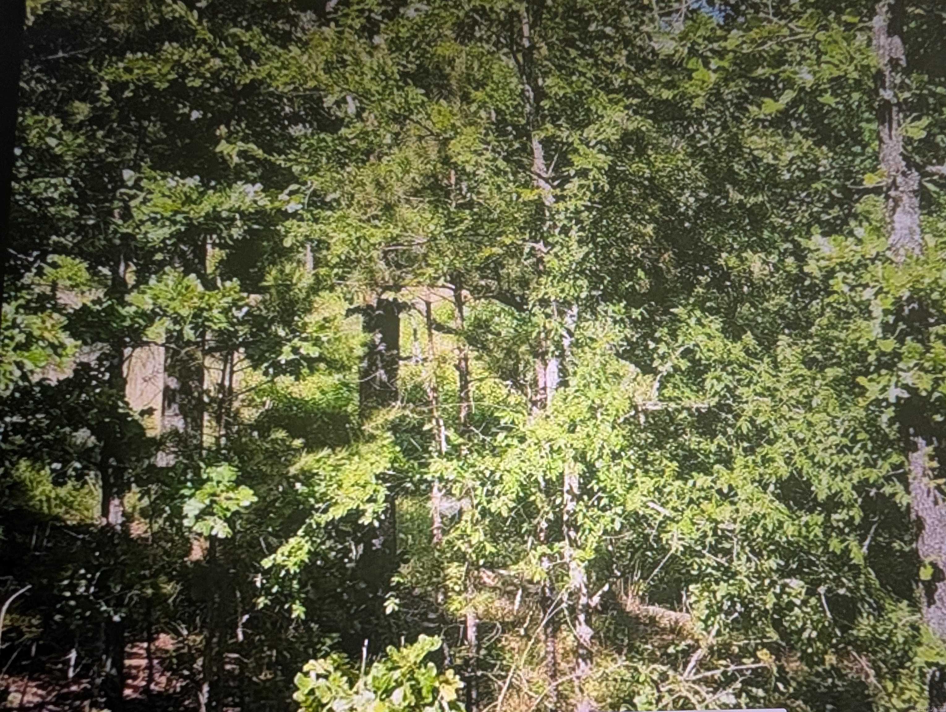 Mountain River Estates - Land