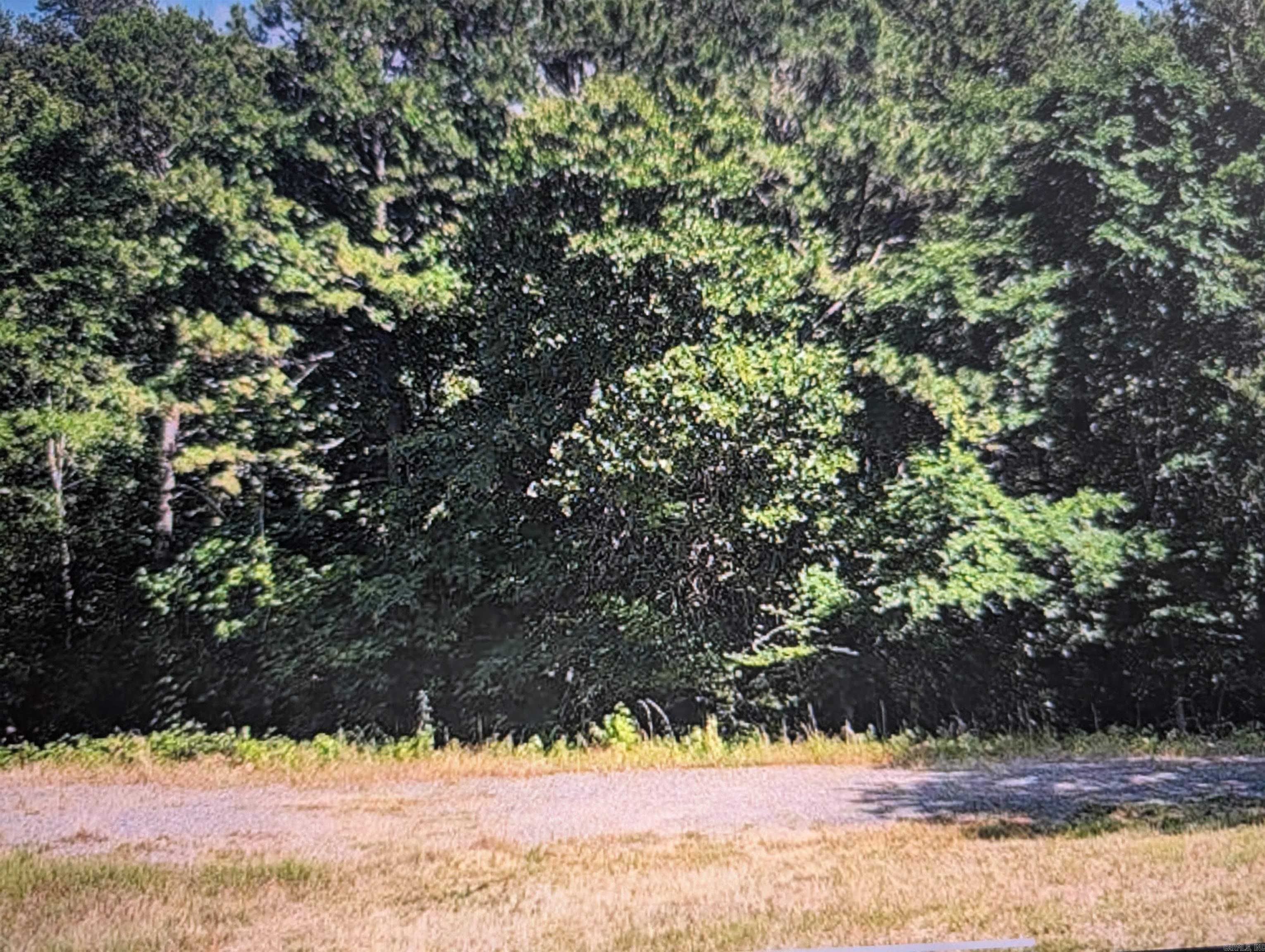 Mountain River Estates - Land