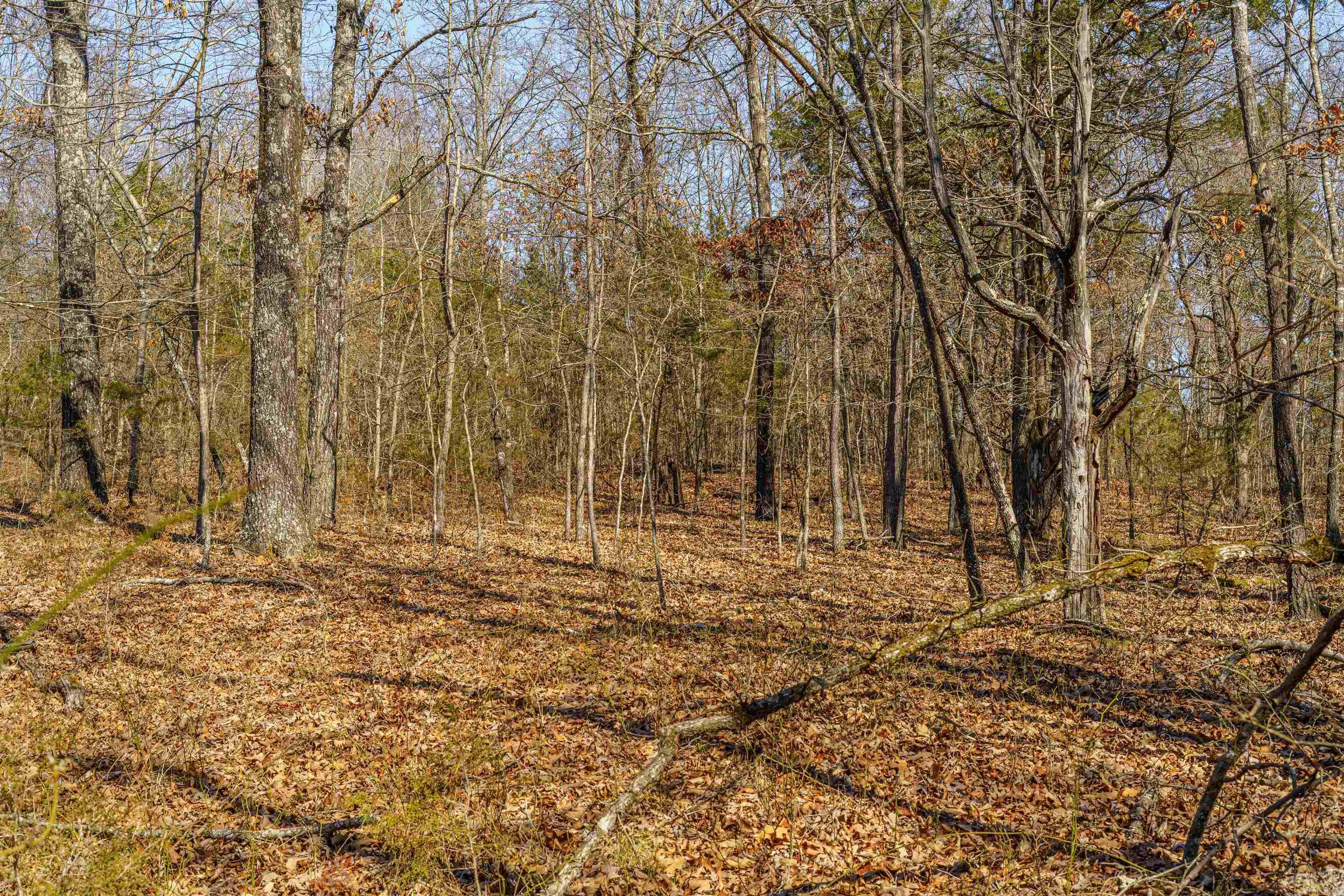 Metes & Bounds - Land