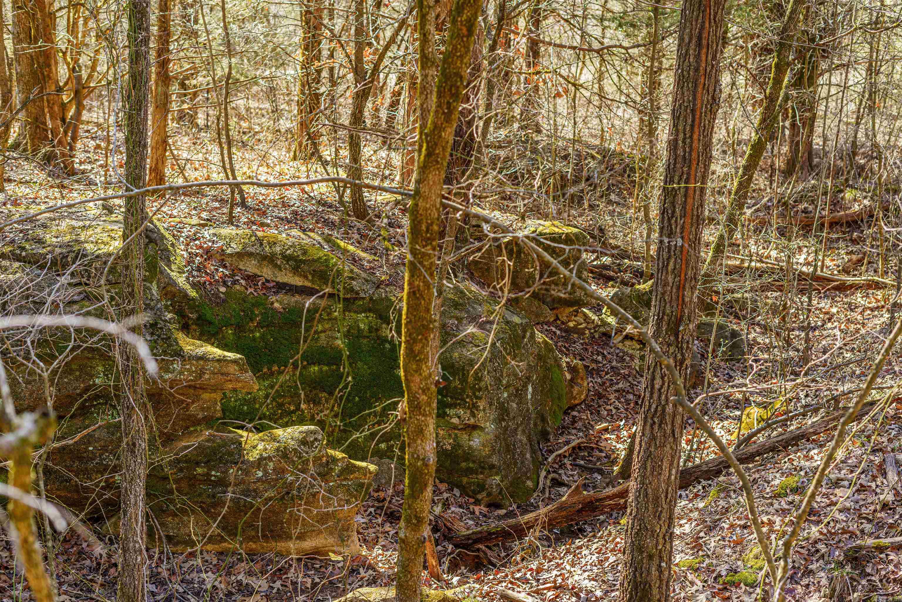 Metes & Bounds - Land