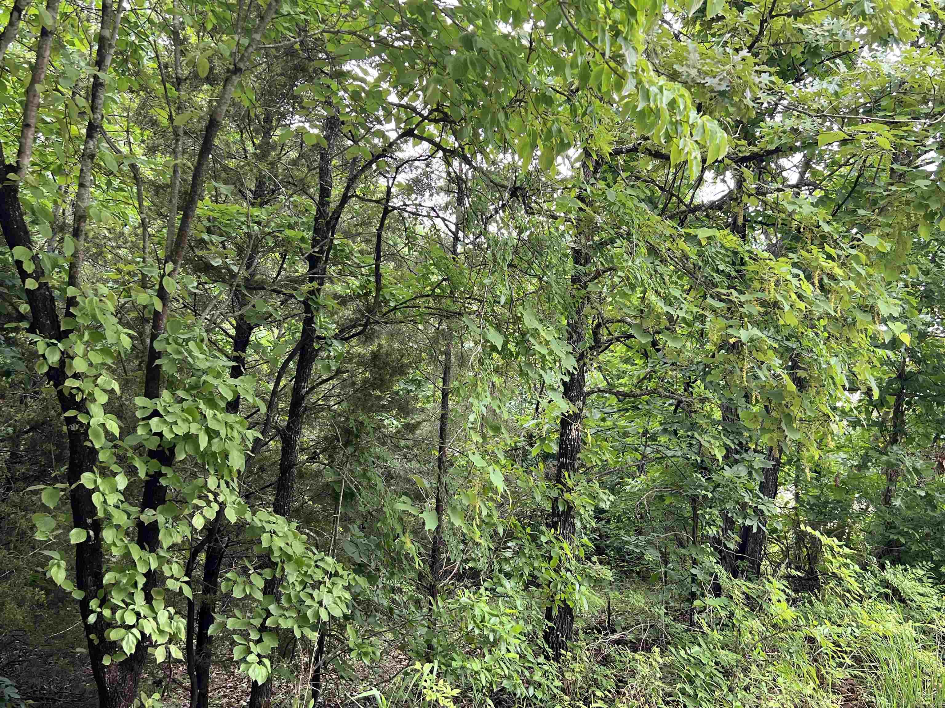 ACREAGE/HIGHWAY FRONTAGE 5 acres all woodland lots of various oak trees should be prime hunting. Around 480 feet U.S. Highway frontage plus frontage on a non-maintained platted road. Spring River is accessible at various points near by. Might be the property for your future. Priced @ $26,500.