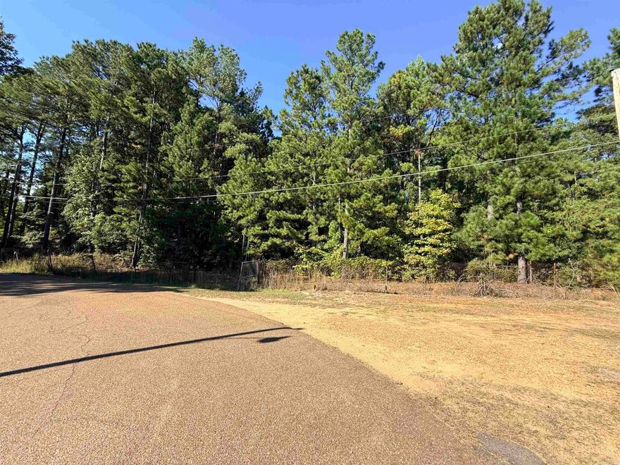 Nice lots in a well-established area. Ready for your creative ideas, a single family home, or several homes for investment potential! Close to shopping, dining, & a major four-lane highway for easy commuting. Enjoy the convenience of town with a peaceful neighborhood setting. Don’t miss this opportunity!