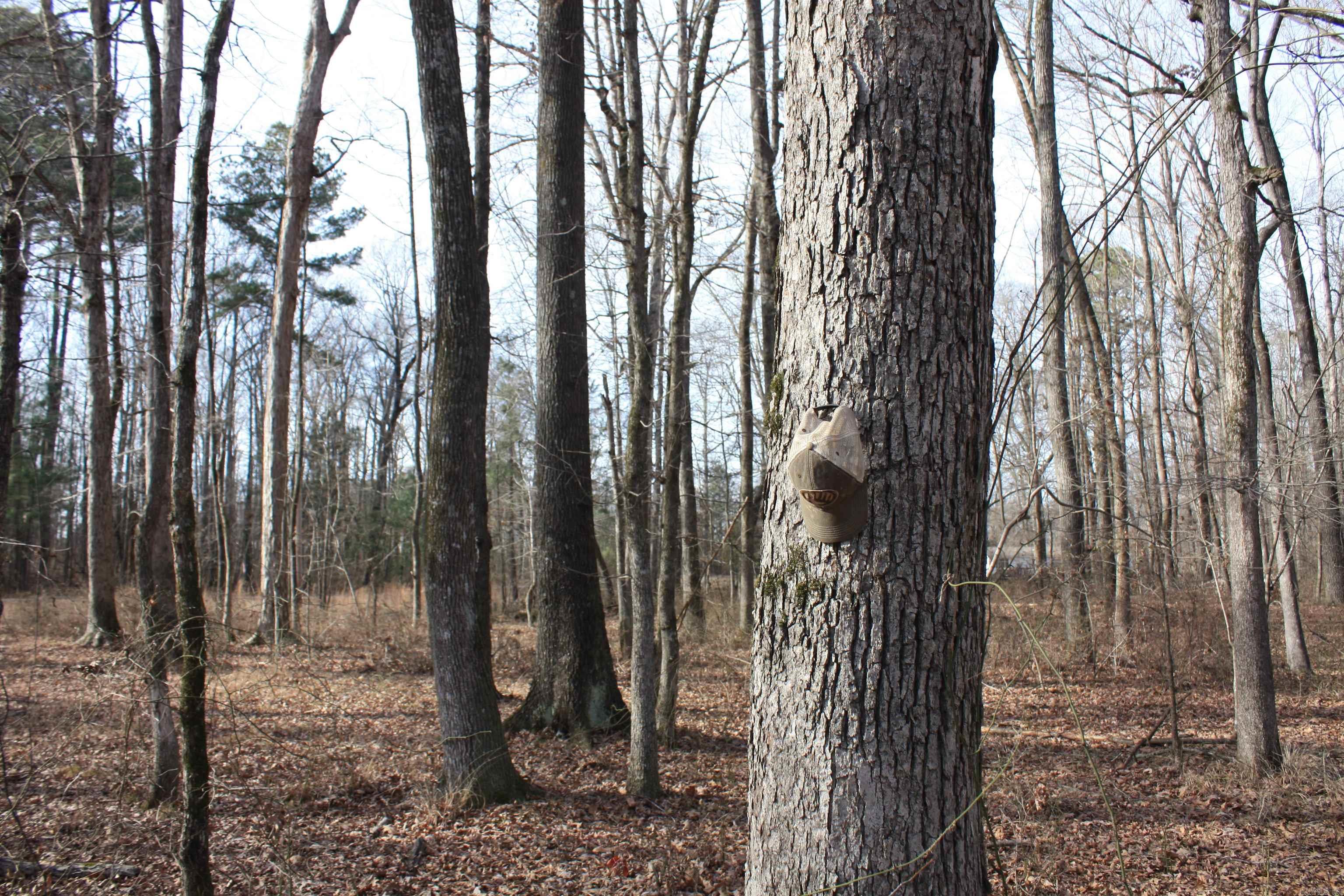 Not in Subdivision - Land