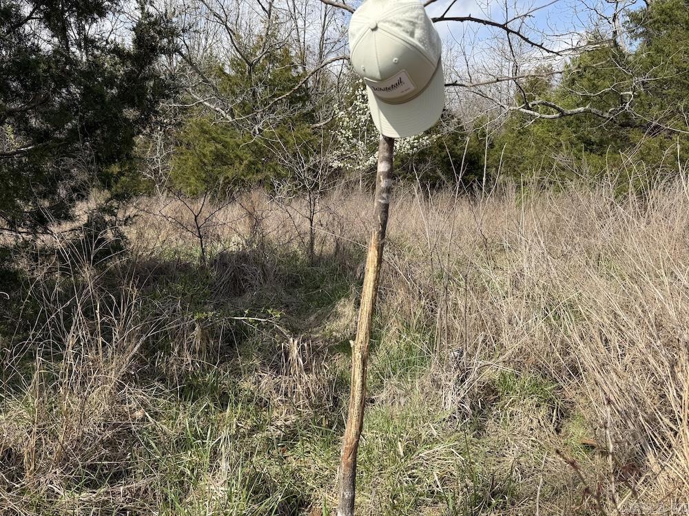 Not in Subdivision - Land