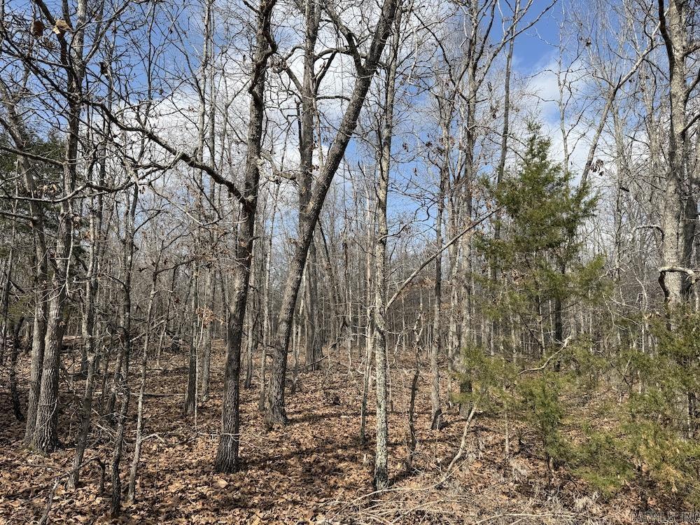 Not in Subdivision - Land