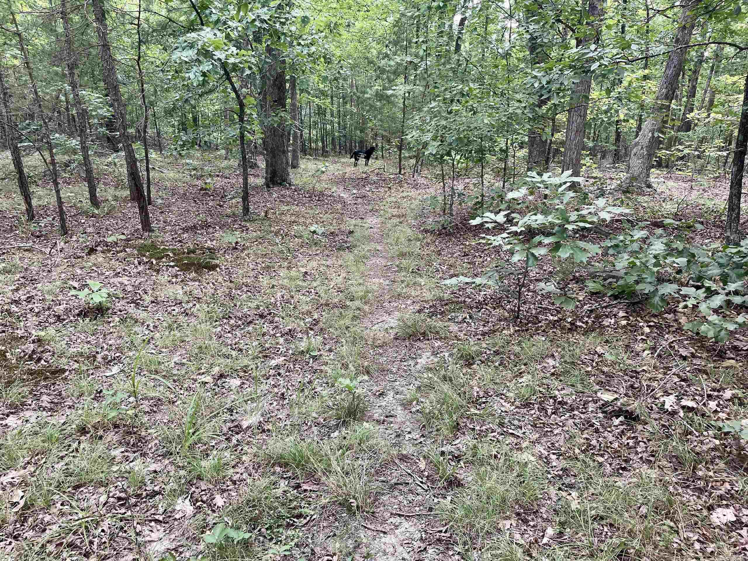 Not in Subdivision - Land
