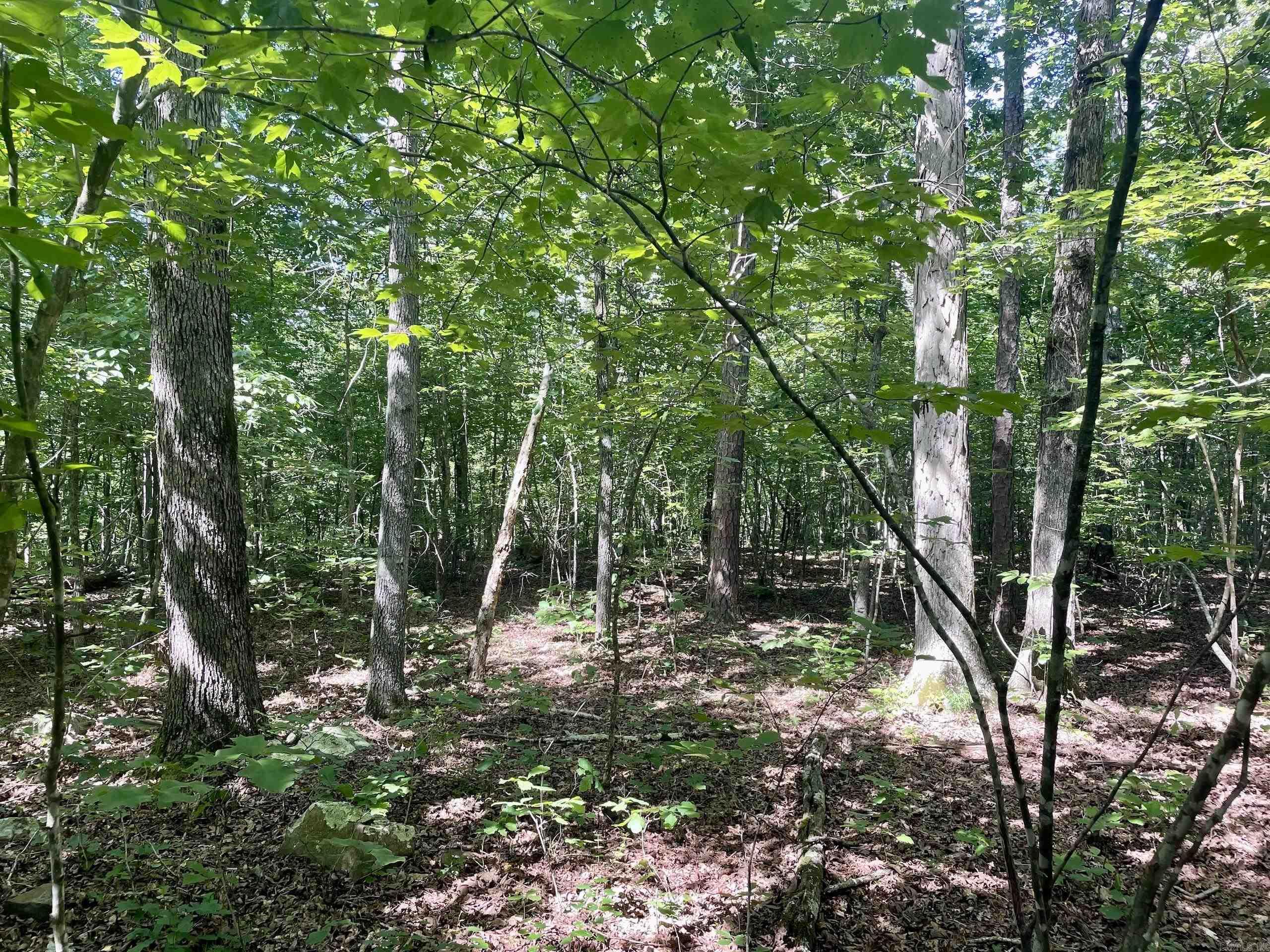 Not in Subdivision - Land