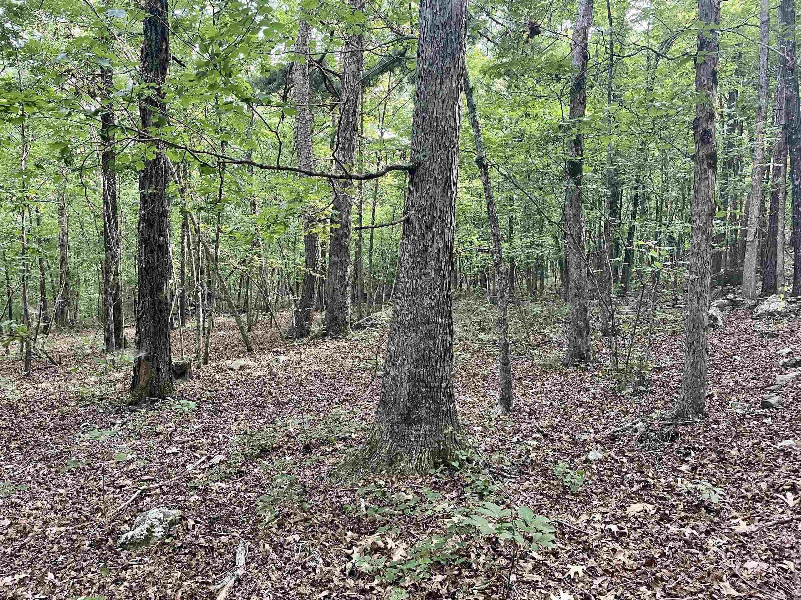 Not in Subdivision - Land
