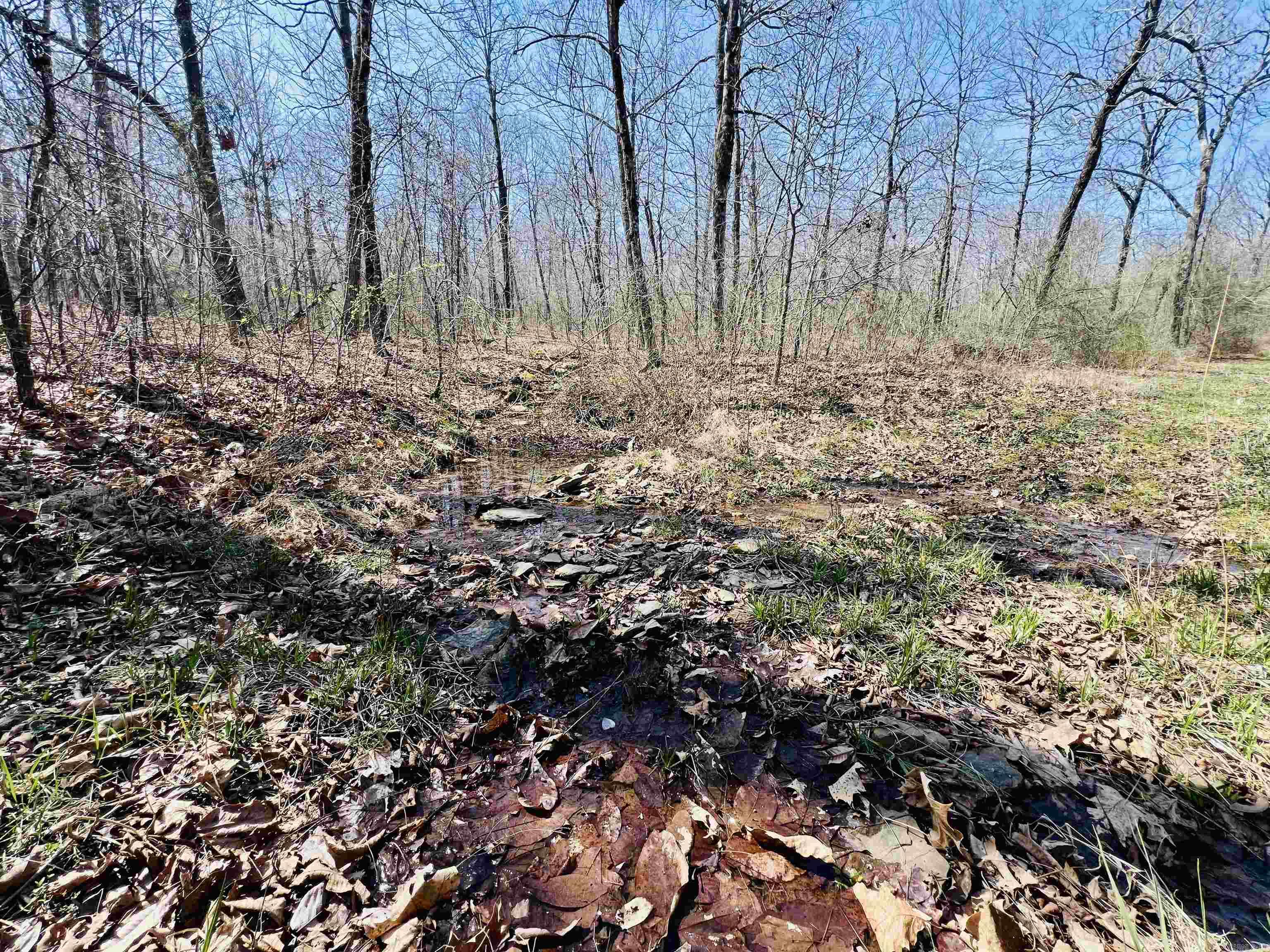 Metes & Bounds - Land