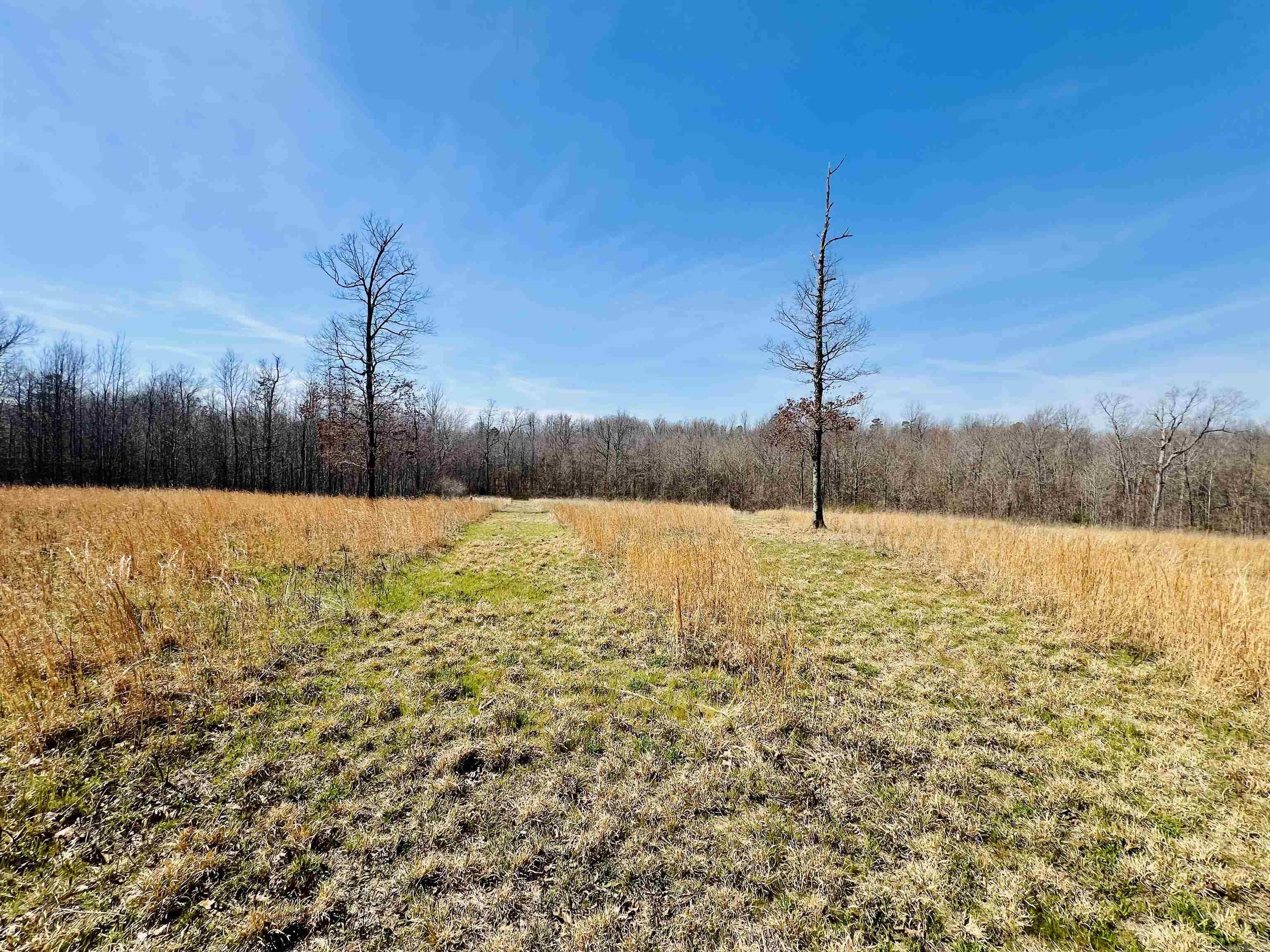 Metes & Bounds - Land