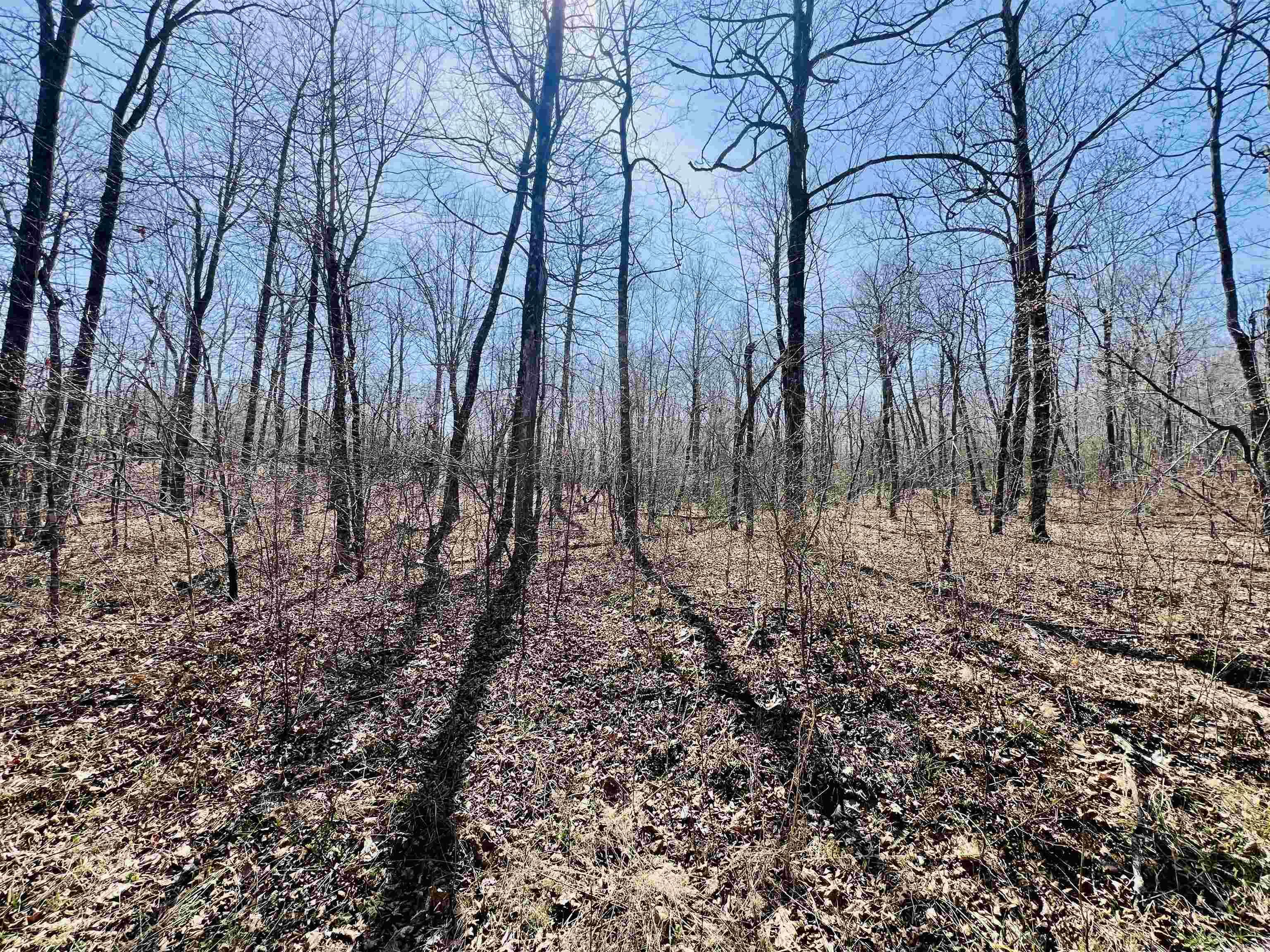 Metes & Bounds - Land