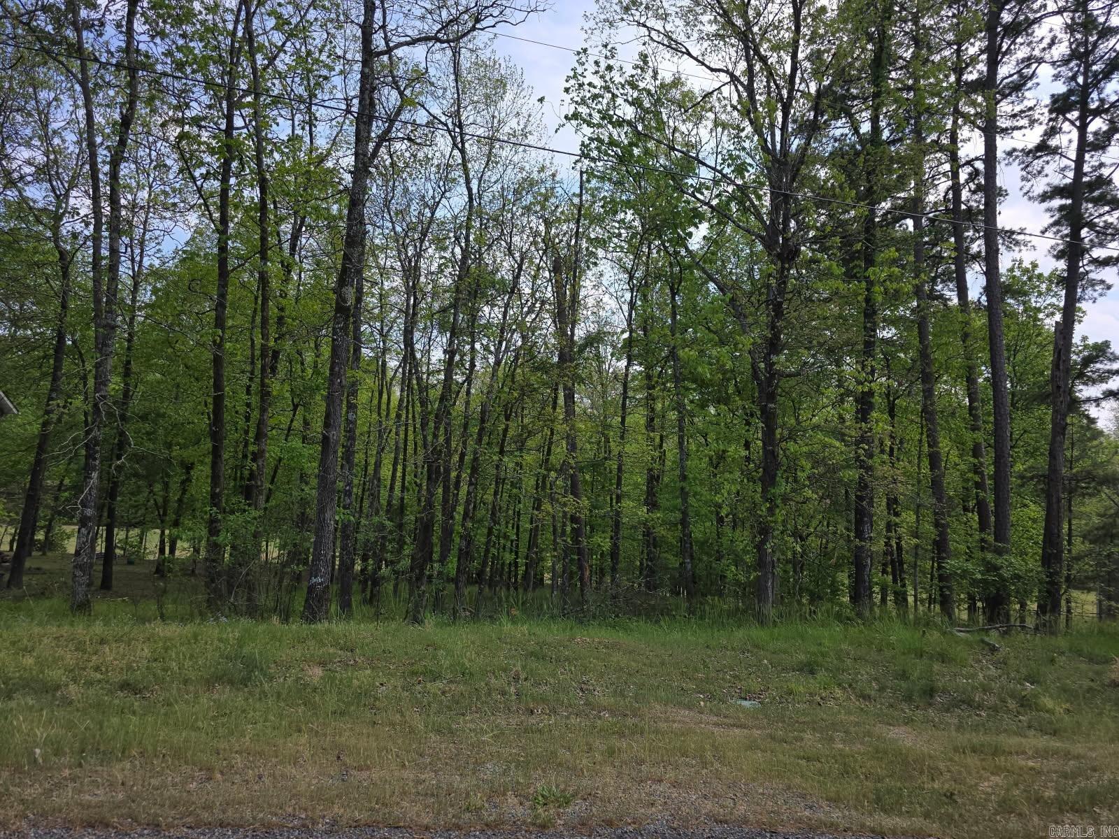 DIAMONDHEAD LAKE - Land