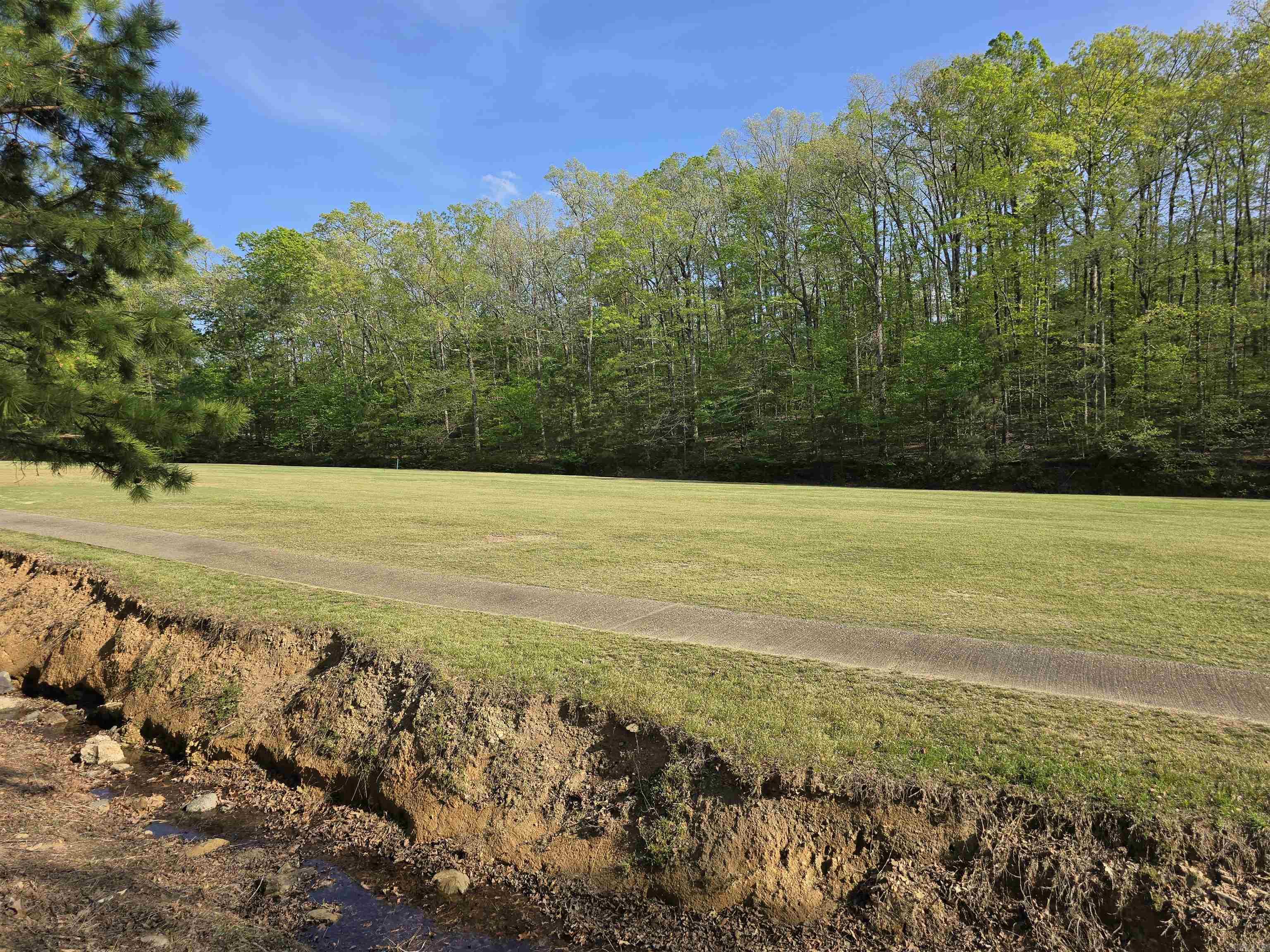 The location of this lot is something to think about...smack in the middle of #6 fair way... Beautiful lot in a quiet neighborhood and the price is right! So what are you waiting for?? Live the lifestyle you've always dreamed in a resort community. Just a few minutes from town this community offers the best of all worlds - the serenity of quiet community living, the convenience of lake access, golfing, tennis/pickleball, swimming pool and community activities, close to Lake Catherine State Park with water falls & hiking trails and 45 minutes to Little Rock. Come take a look and join the fun!