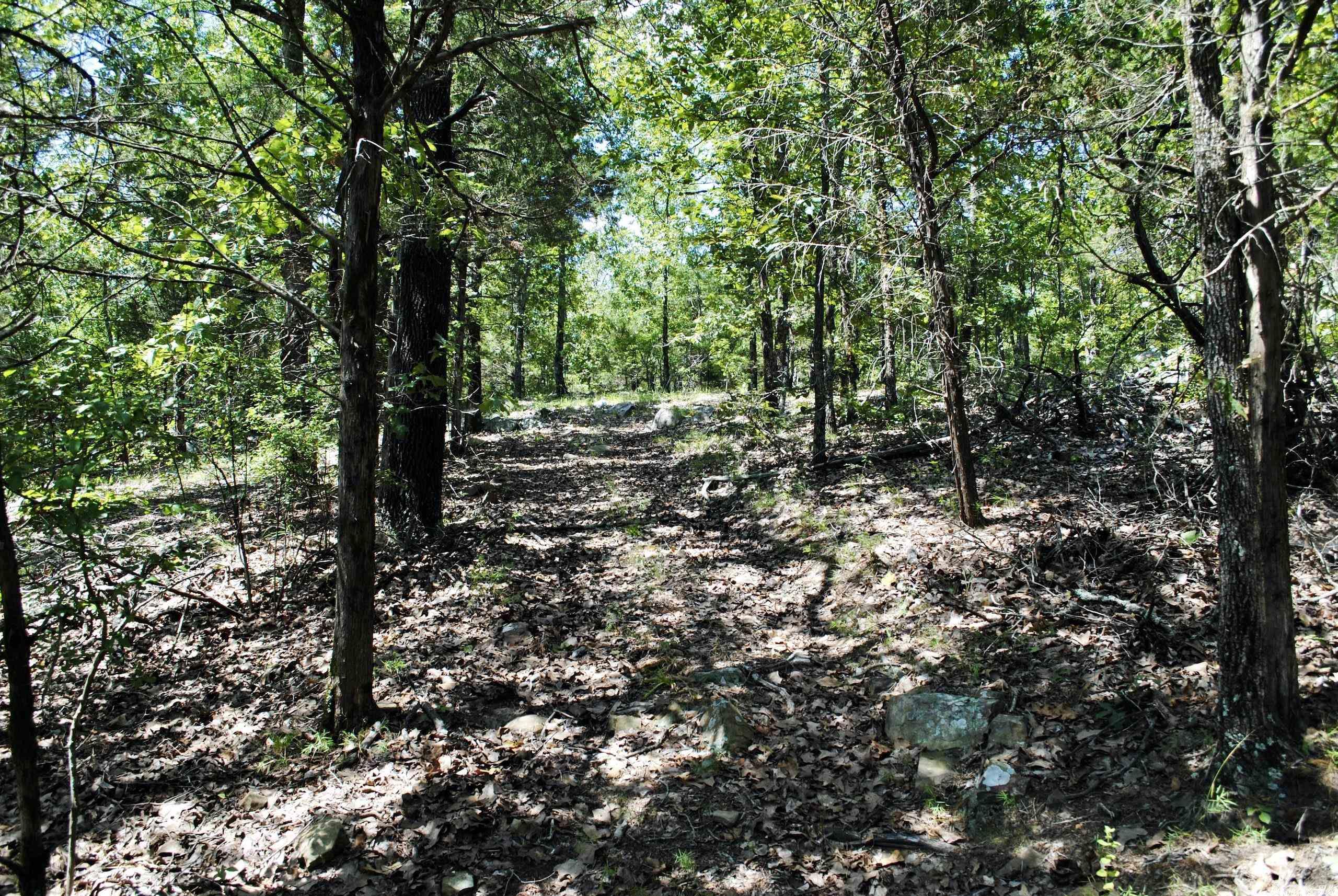 Not in Subdivision - Land