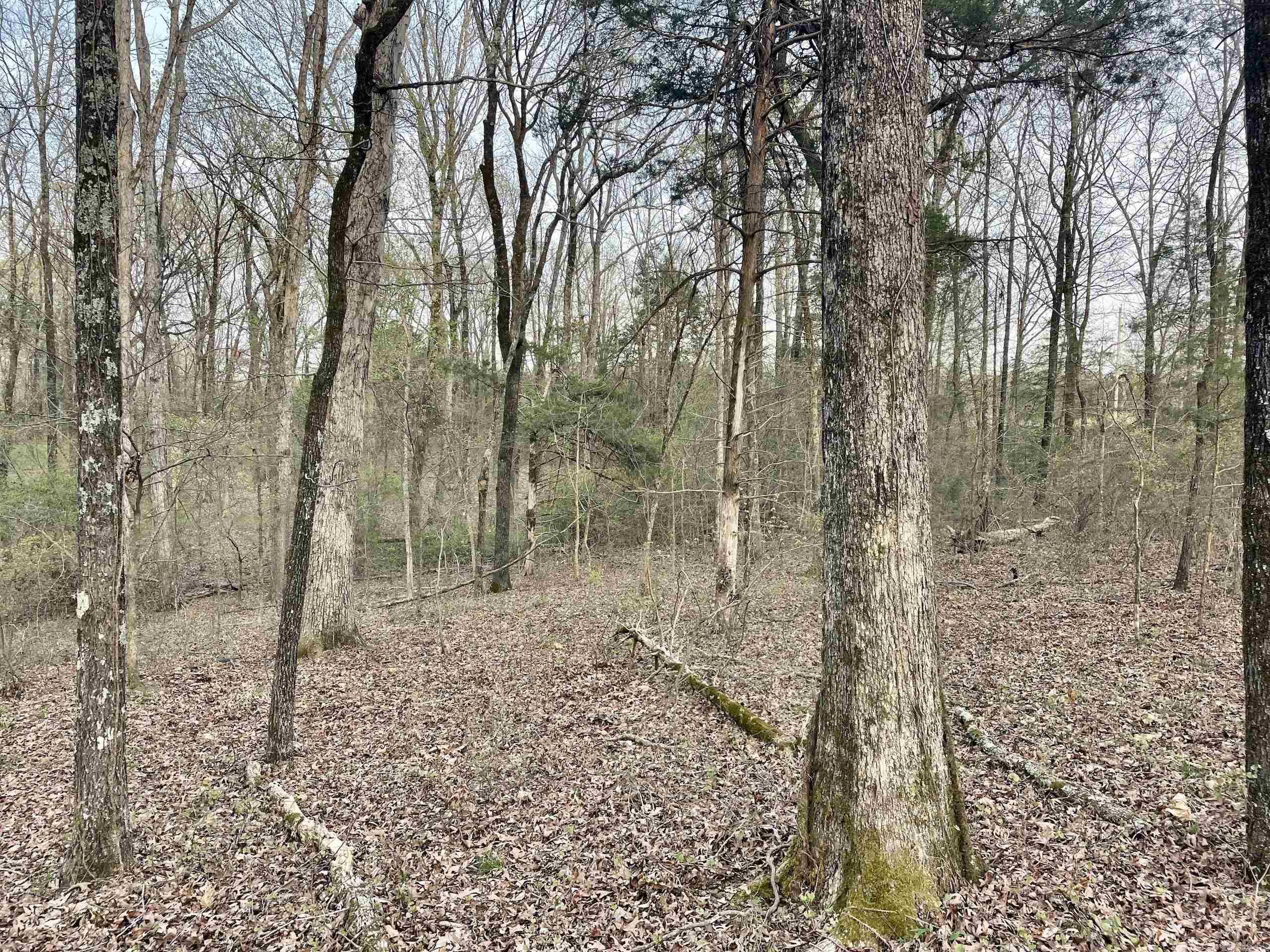 Paradise River Resort - Land