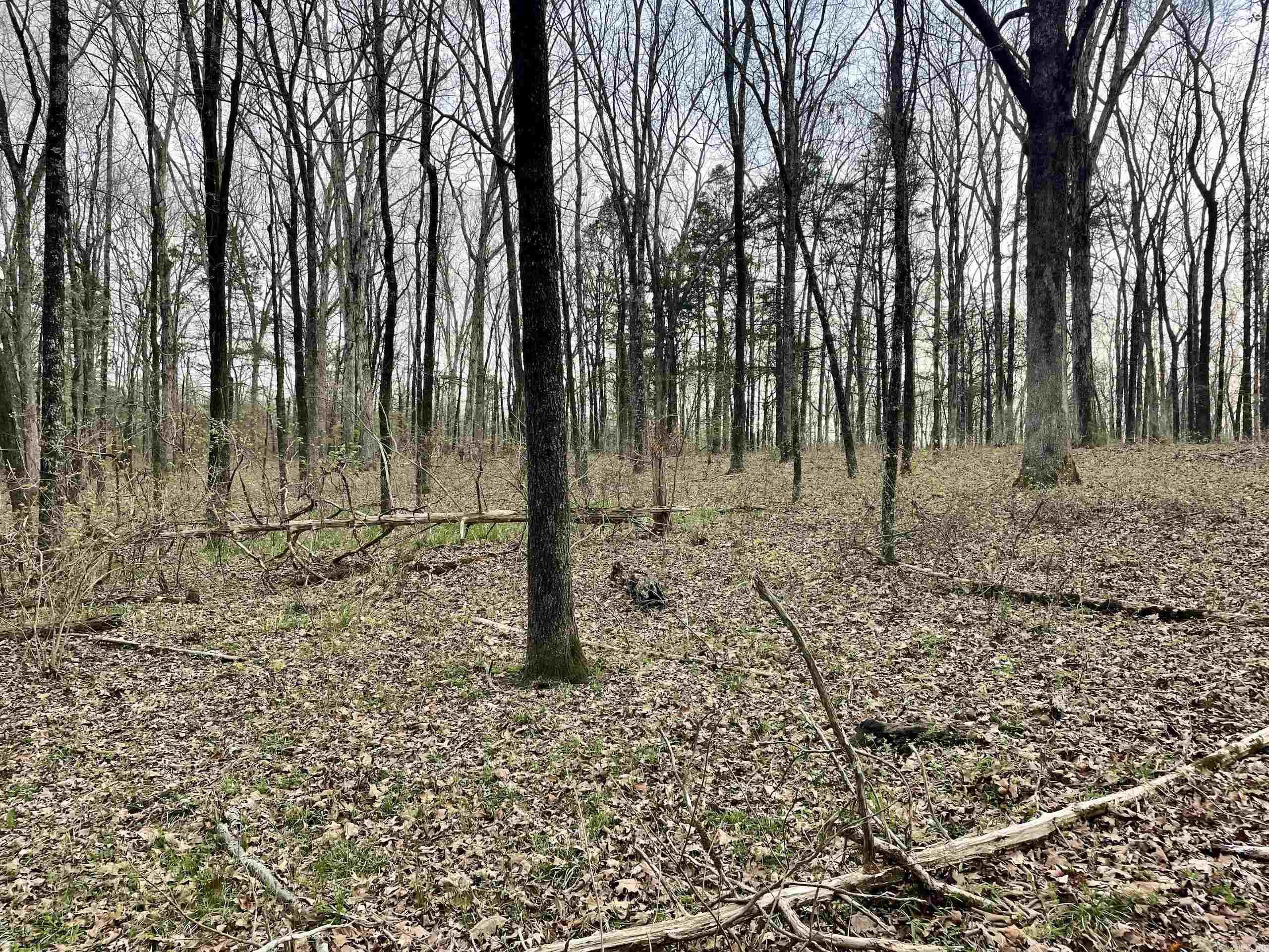 Paradise River Resort - Land