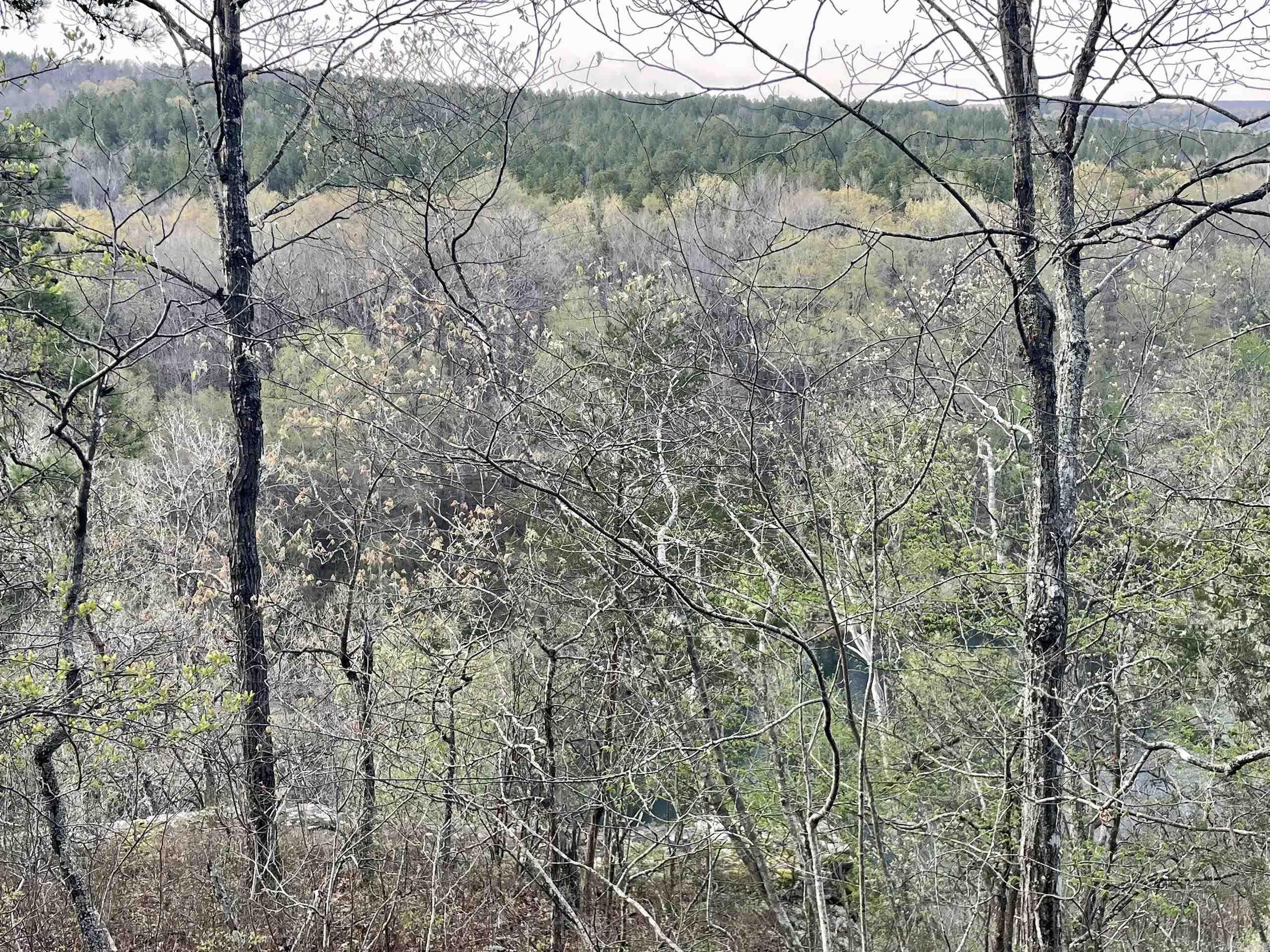 Paradise River Resort - Land