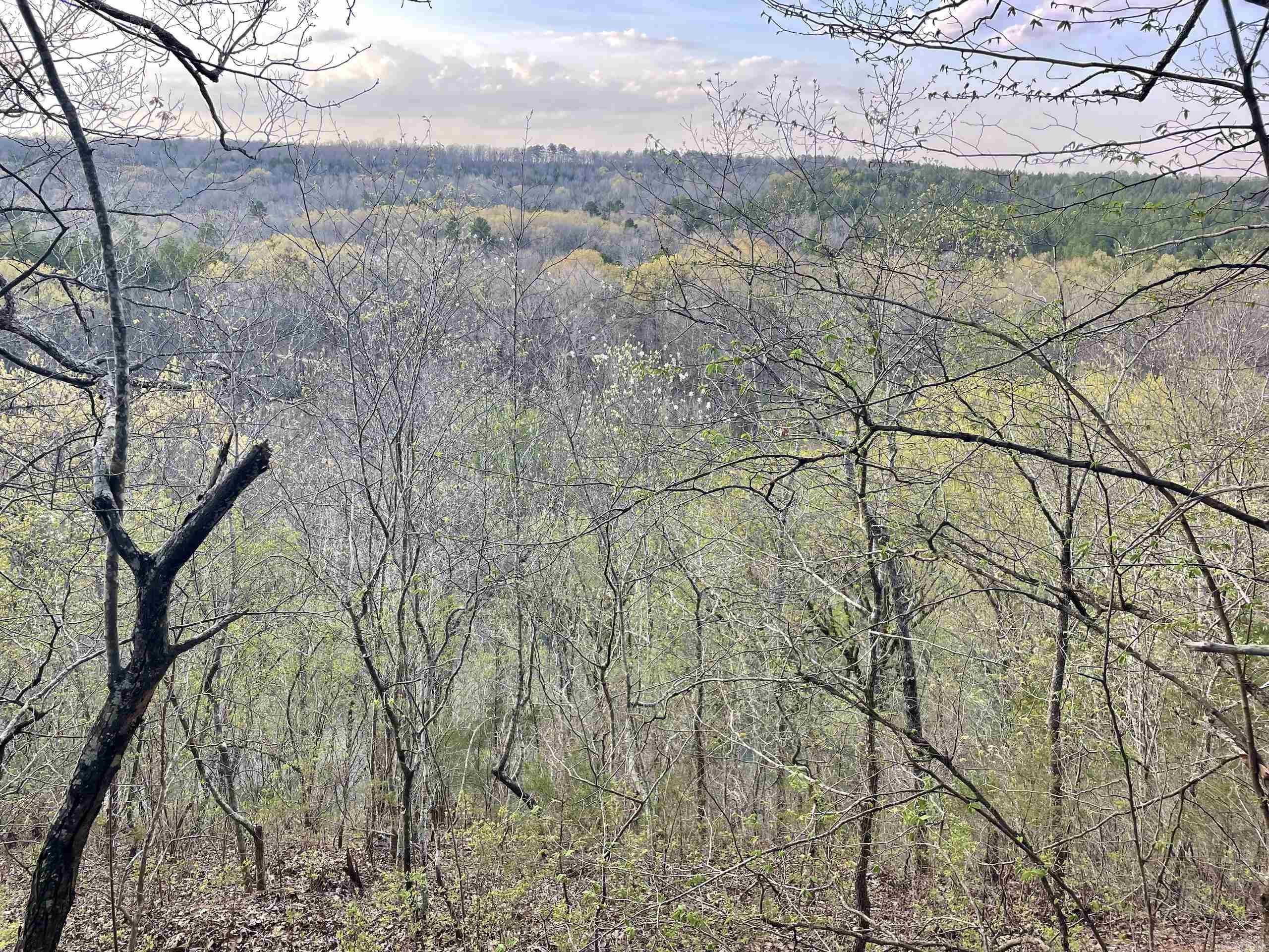 Paradise River Resort - Land