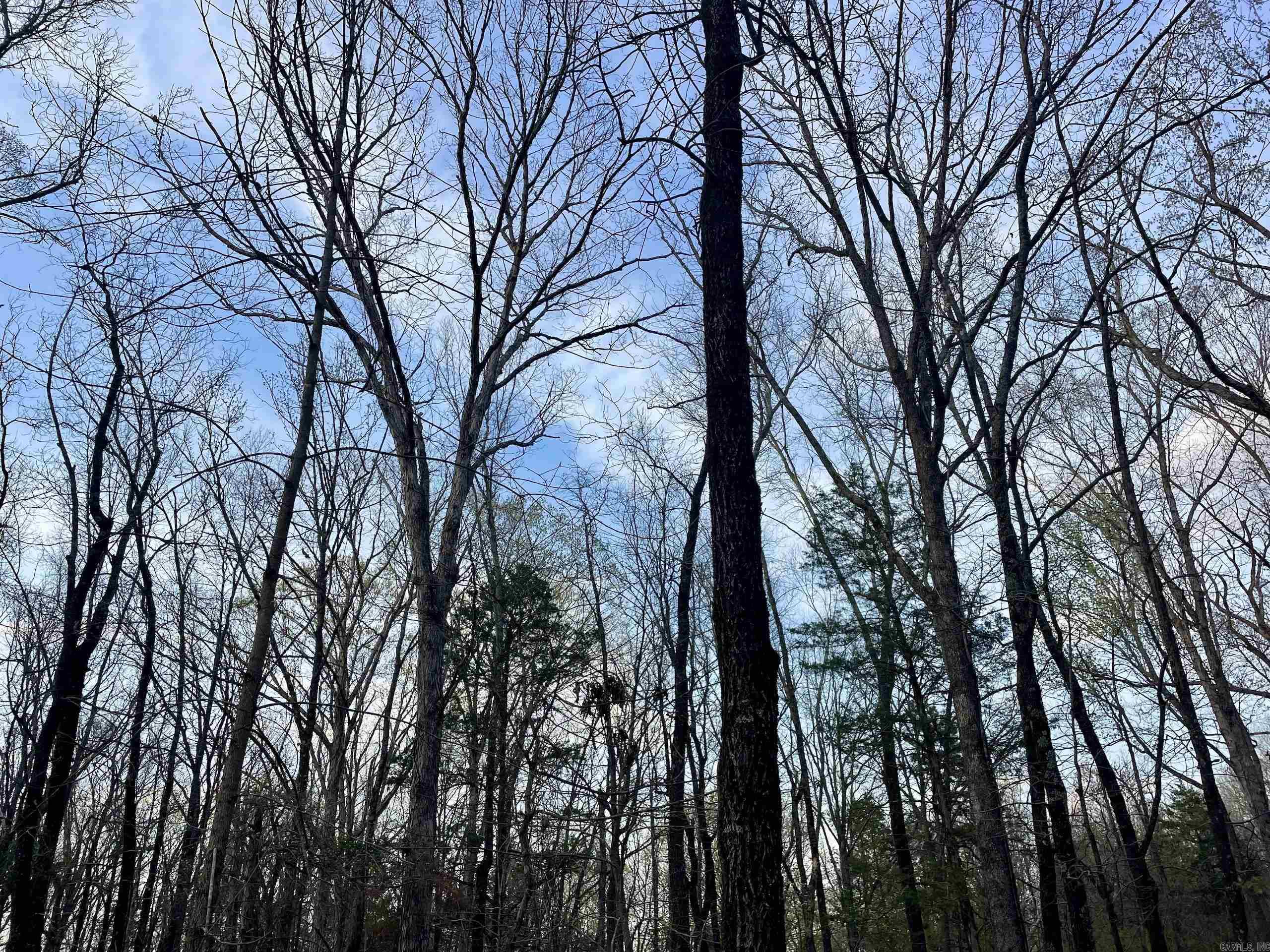 Paradise River Resort - Land