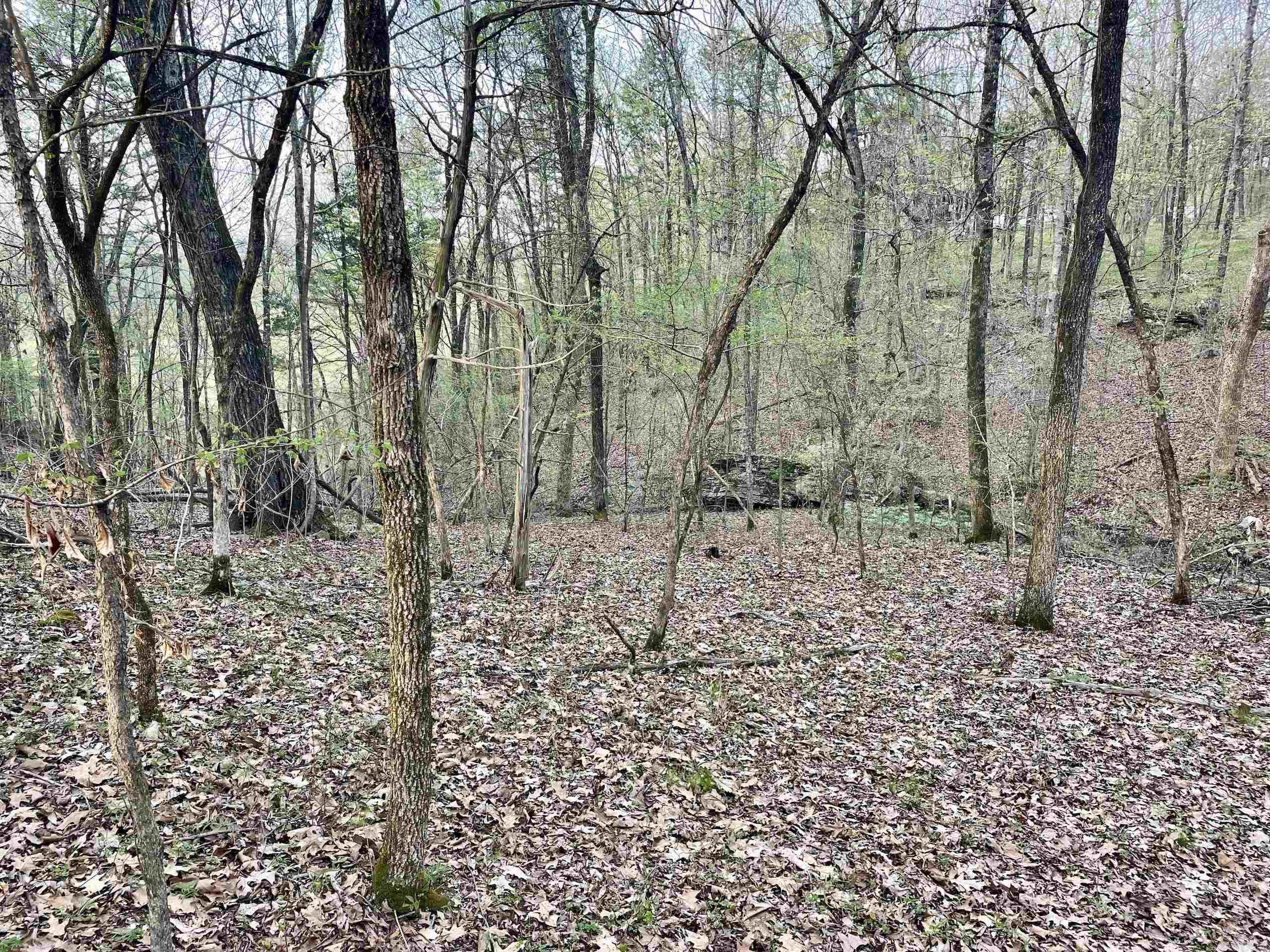 Paradise River Resort - Land