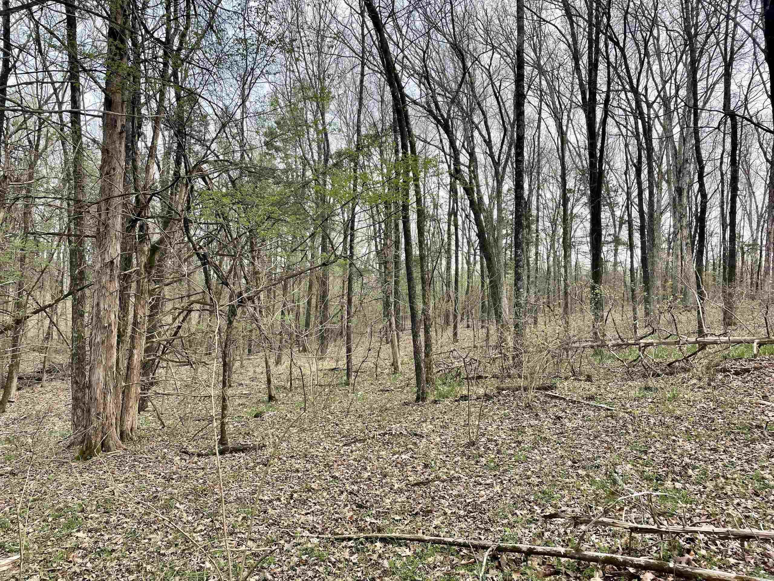 Paradise River Resort - Land