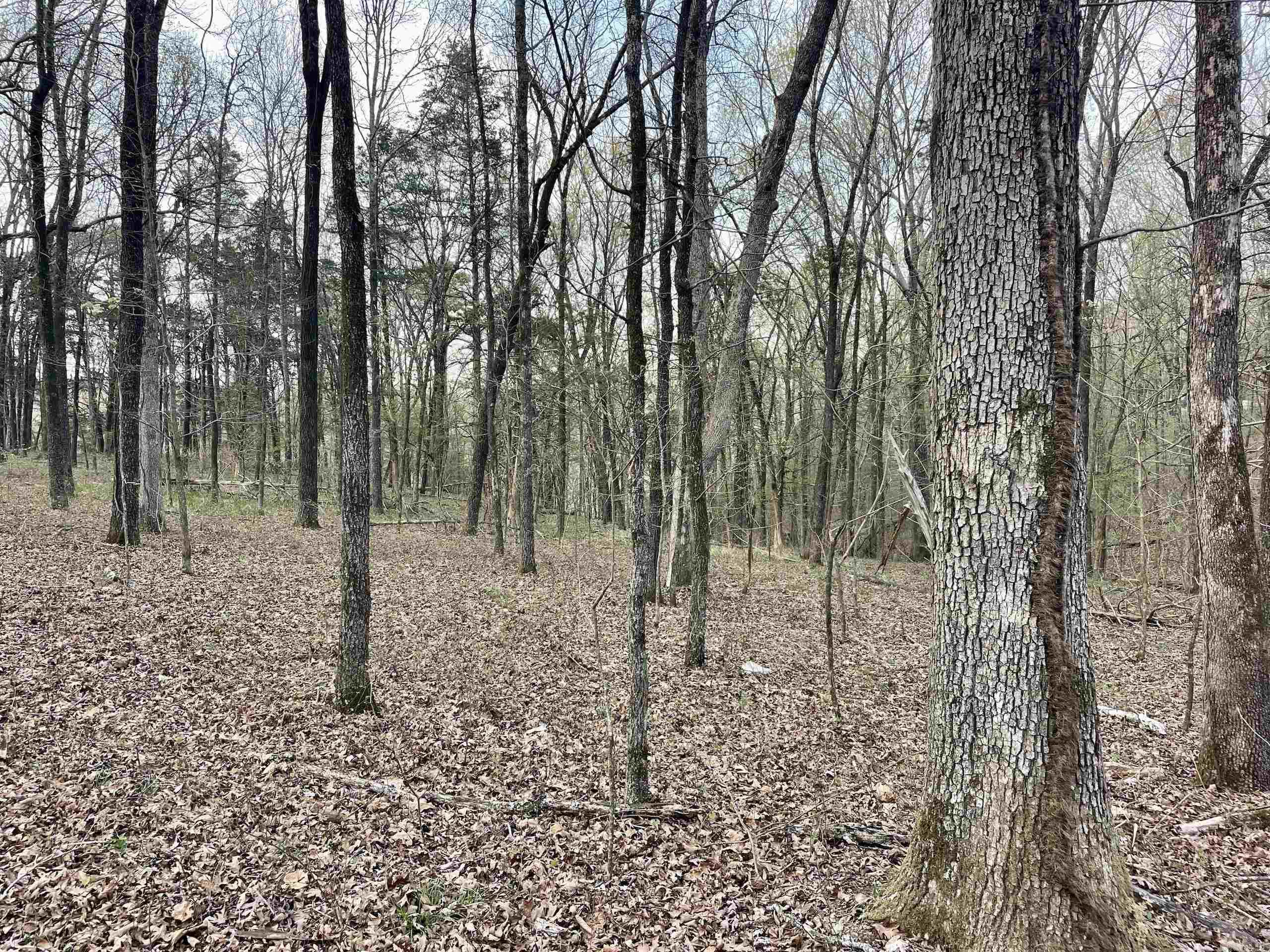 Paradise River Resort - Land