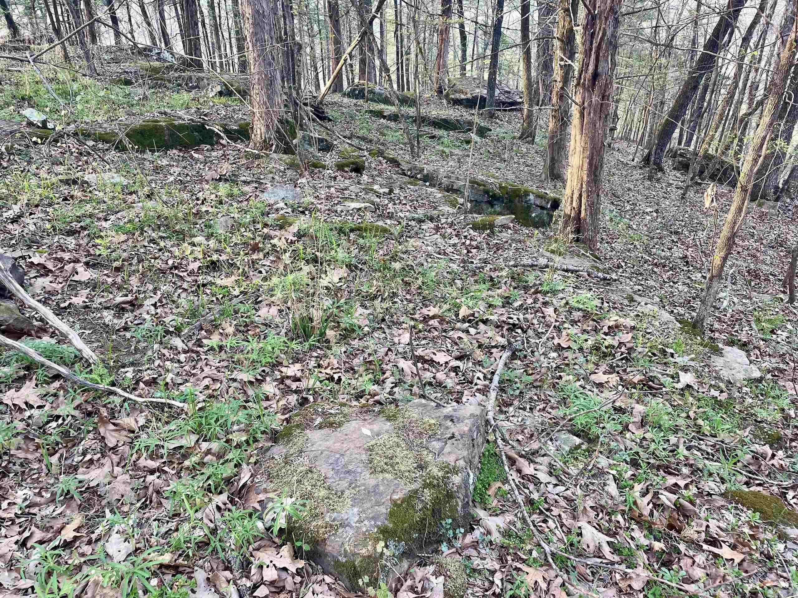 Paradise River Resort - Land