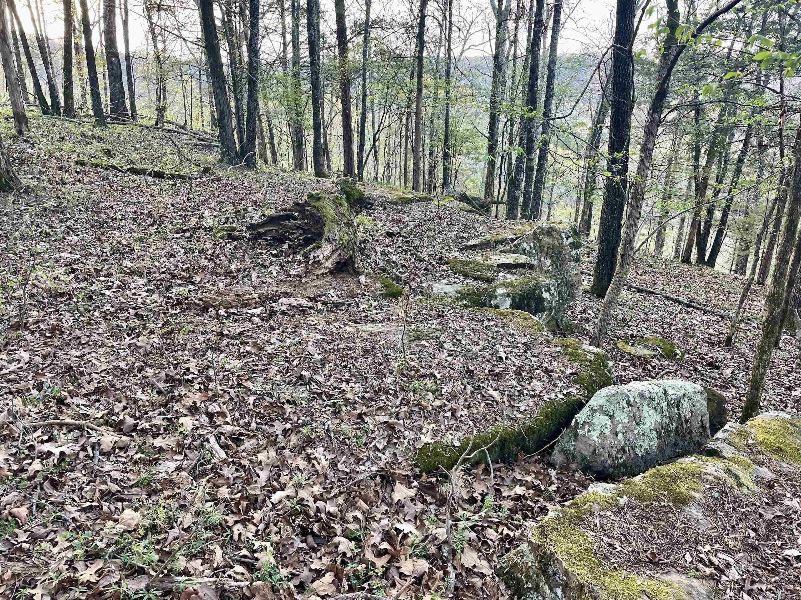 Paradise River Resort - Land