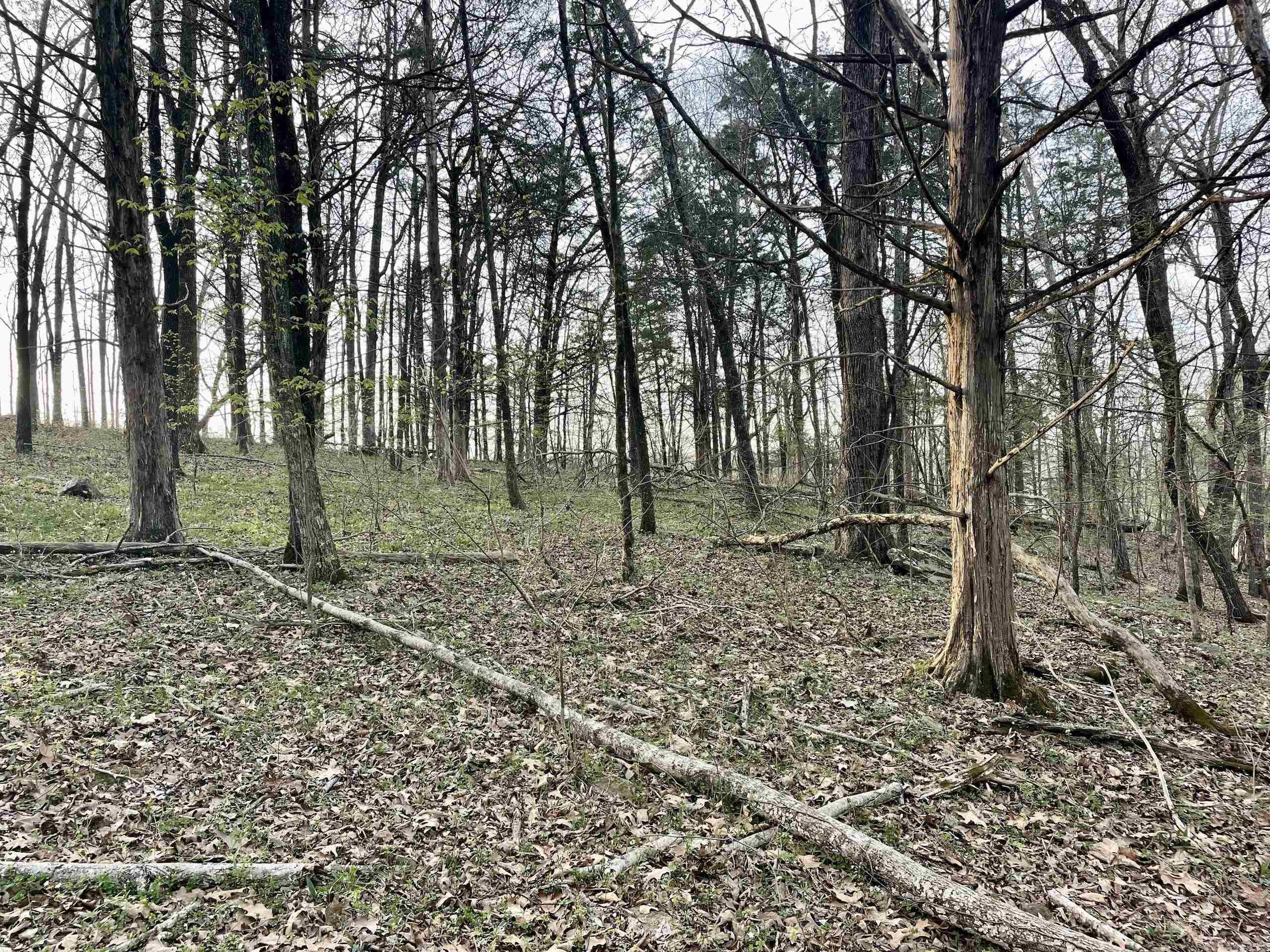 Paradise River Resort - Land