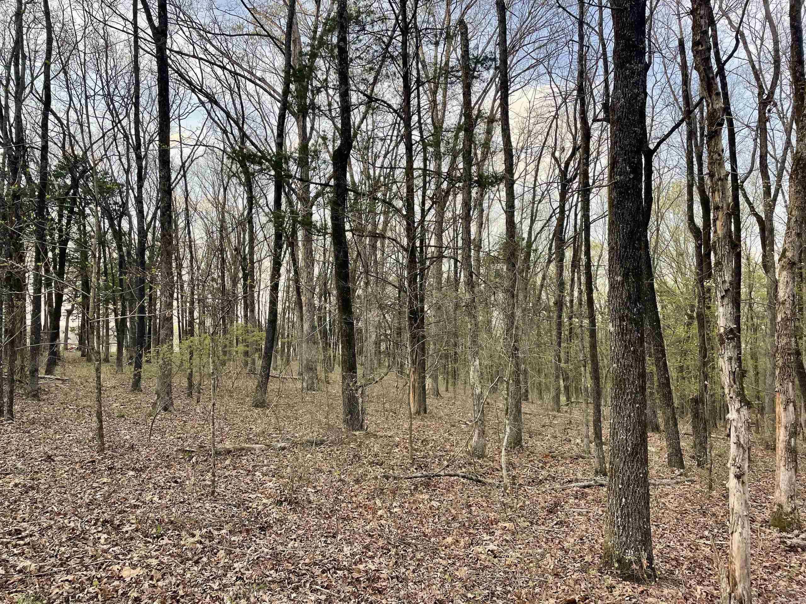 Paradise River Resort - Land