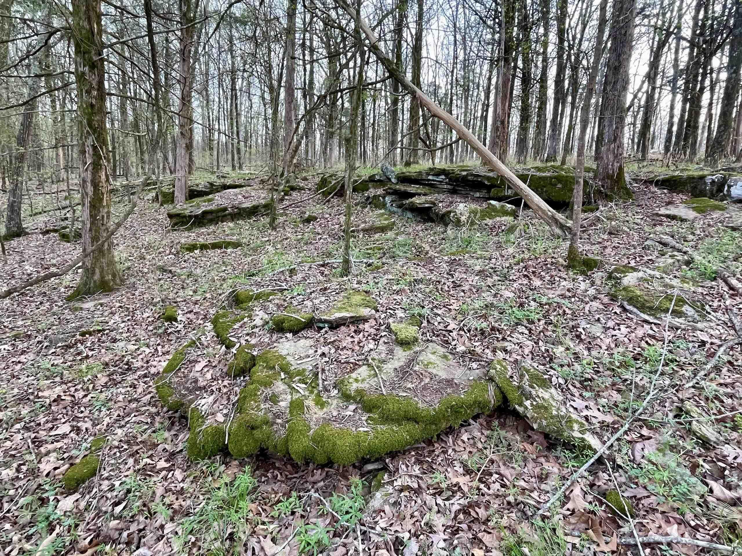 Paradise River Resort - Land