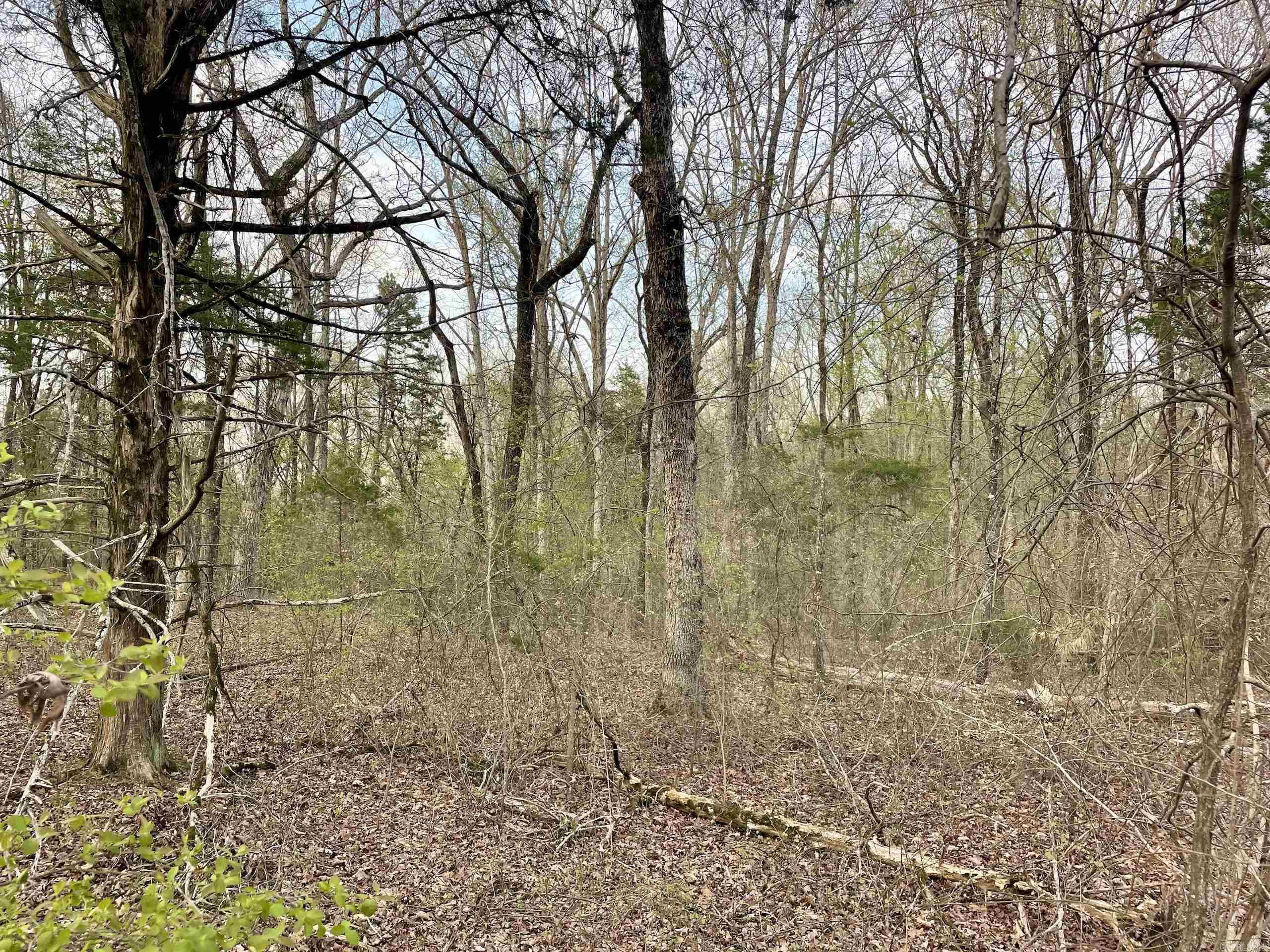 Paradise River Resort - Land