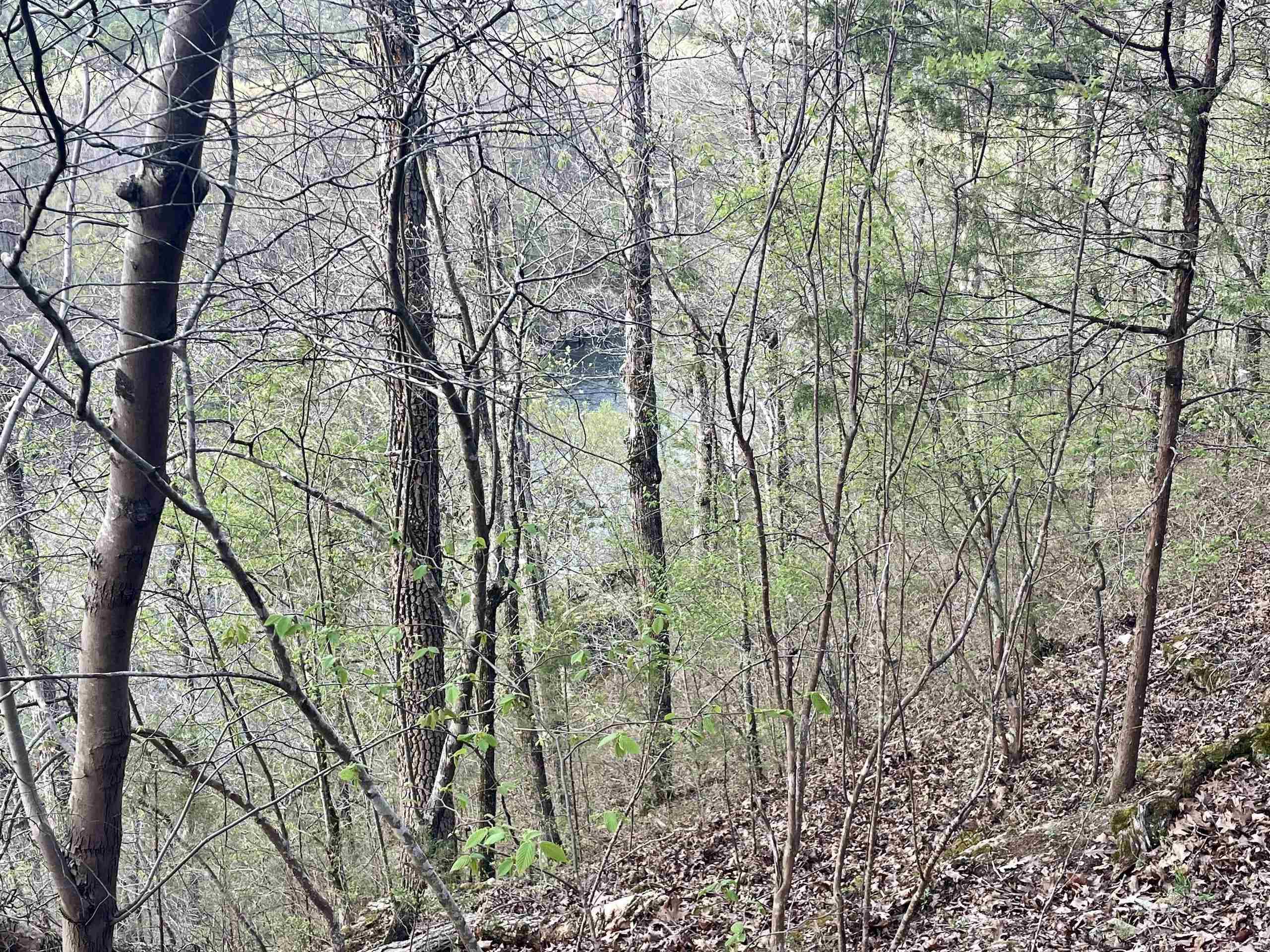 Paradise River Resort - Land