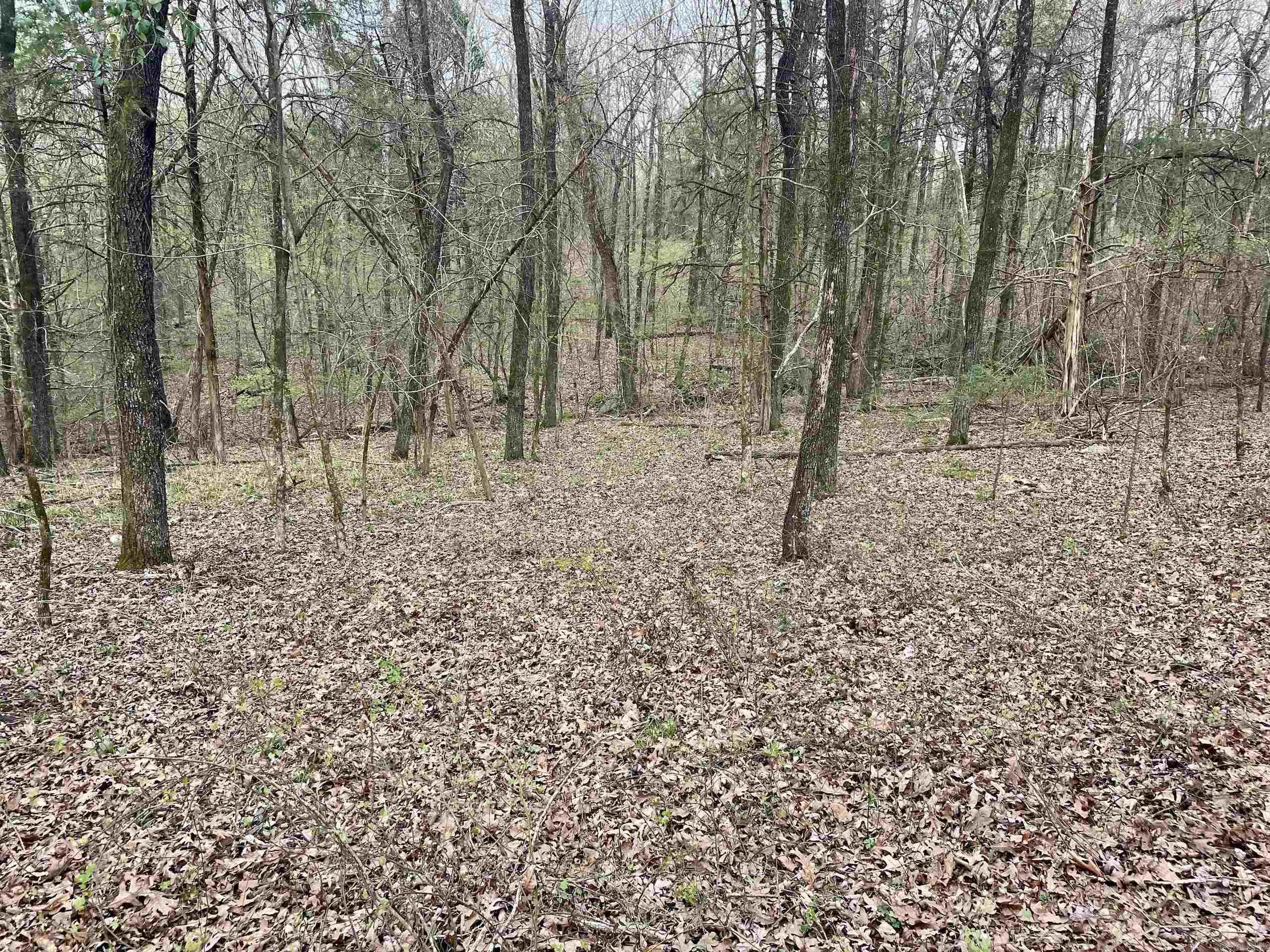 Paradise River Resort - Land