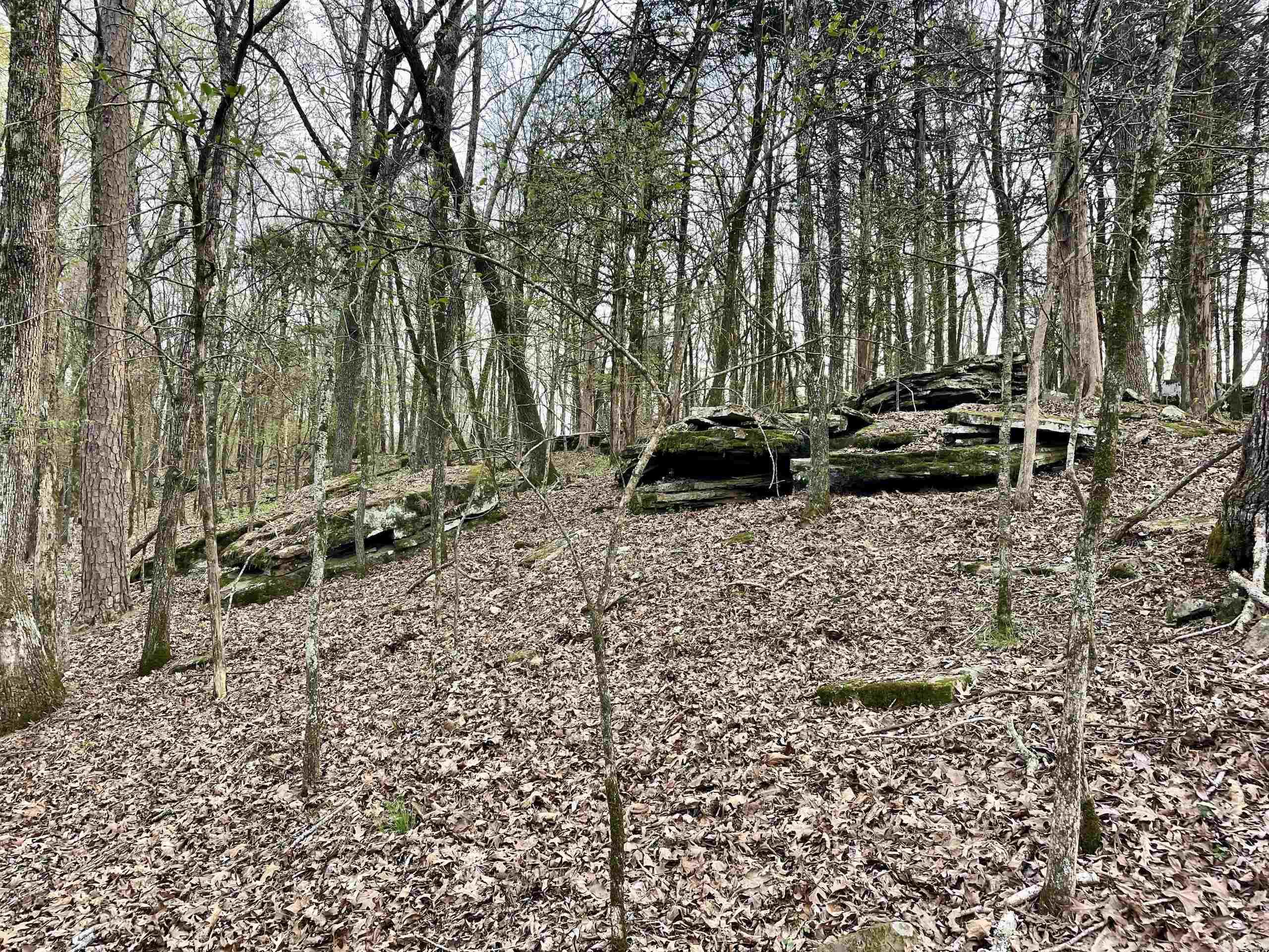 Paradise River Resort - Land