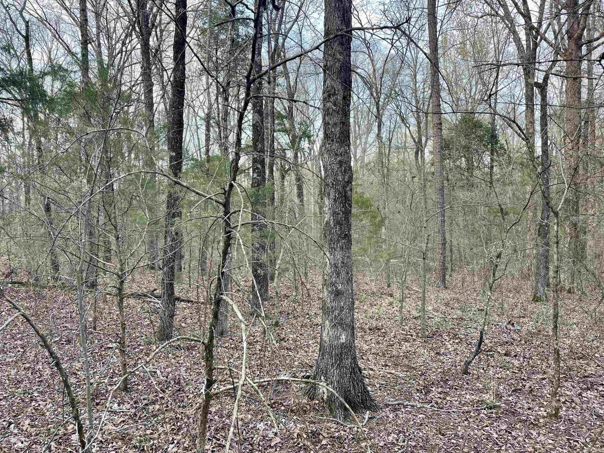 Paradise River Resort - Land