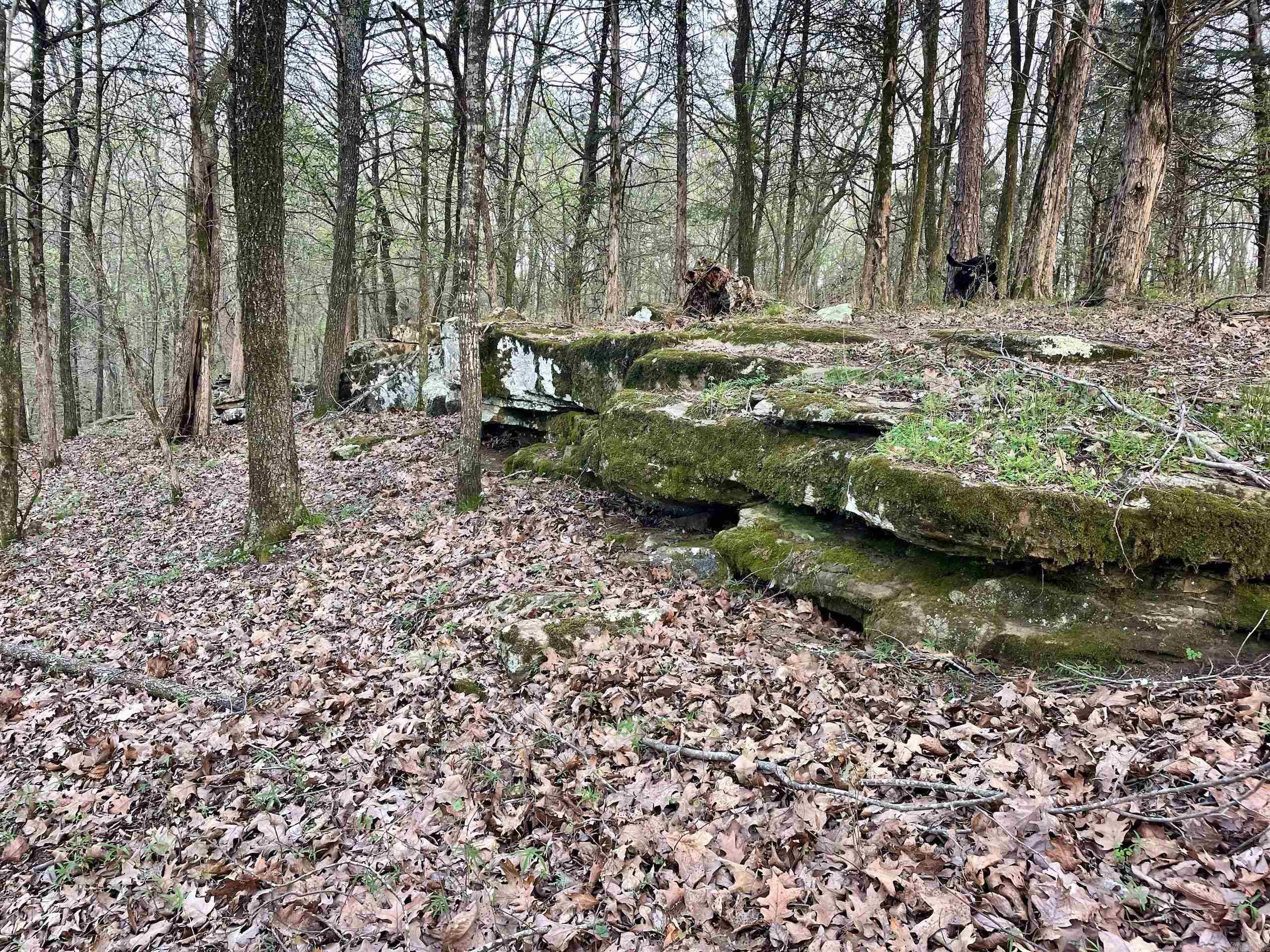 Paradise River Resort - Land