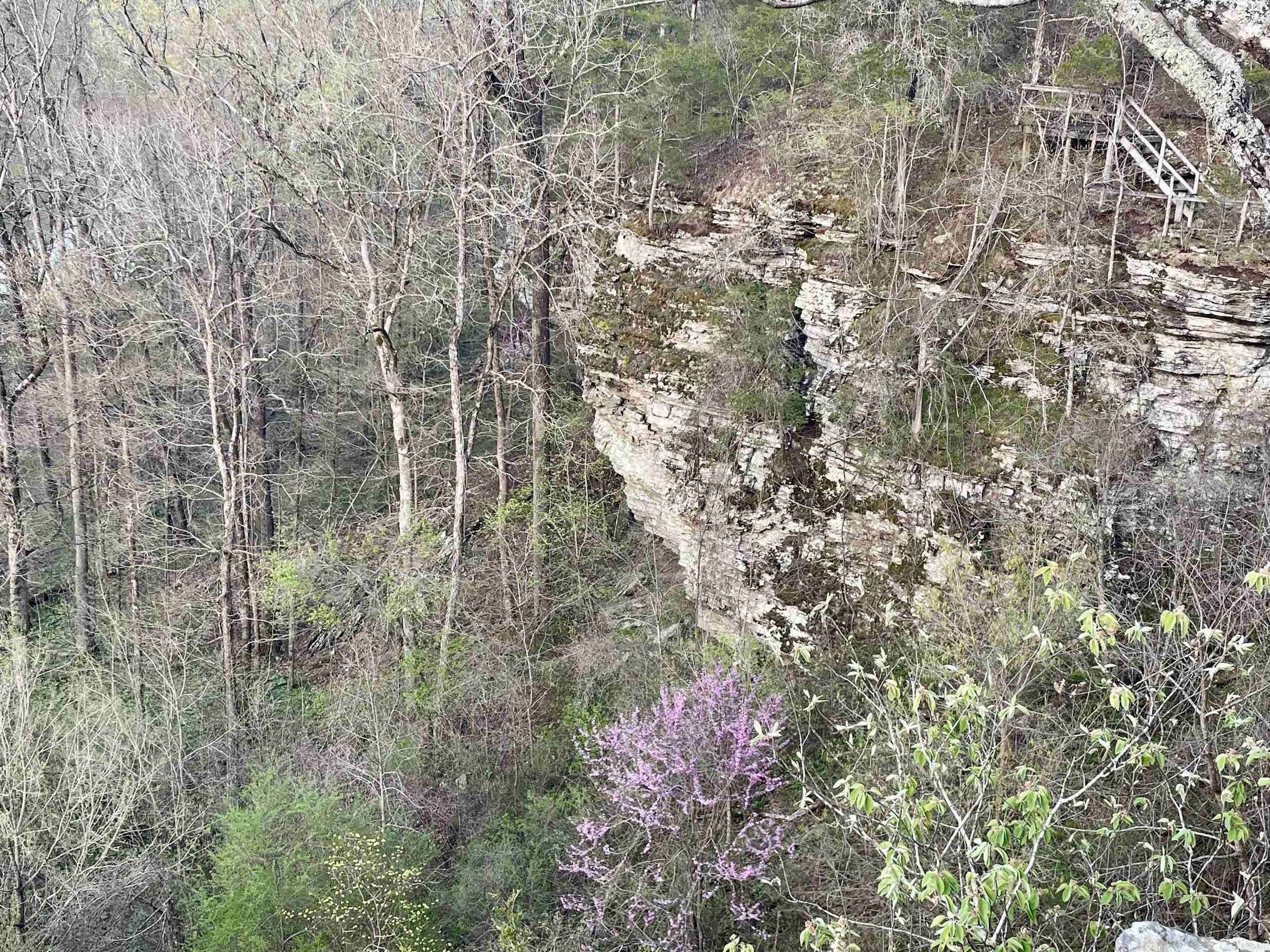 Paradise River Resort - Land