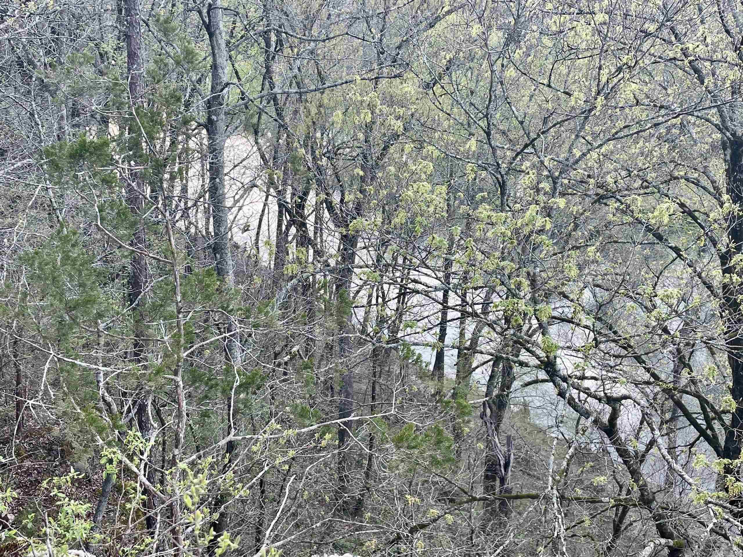 Paradise River Resort - Land