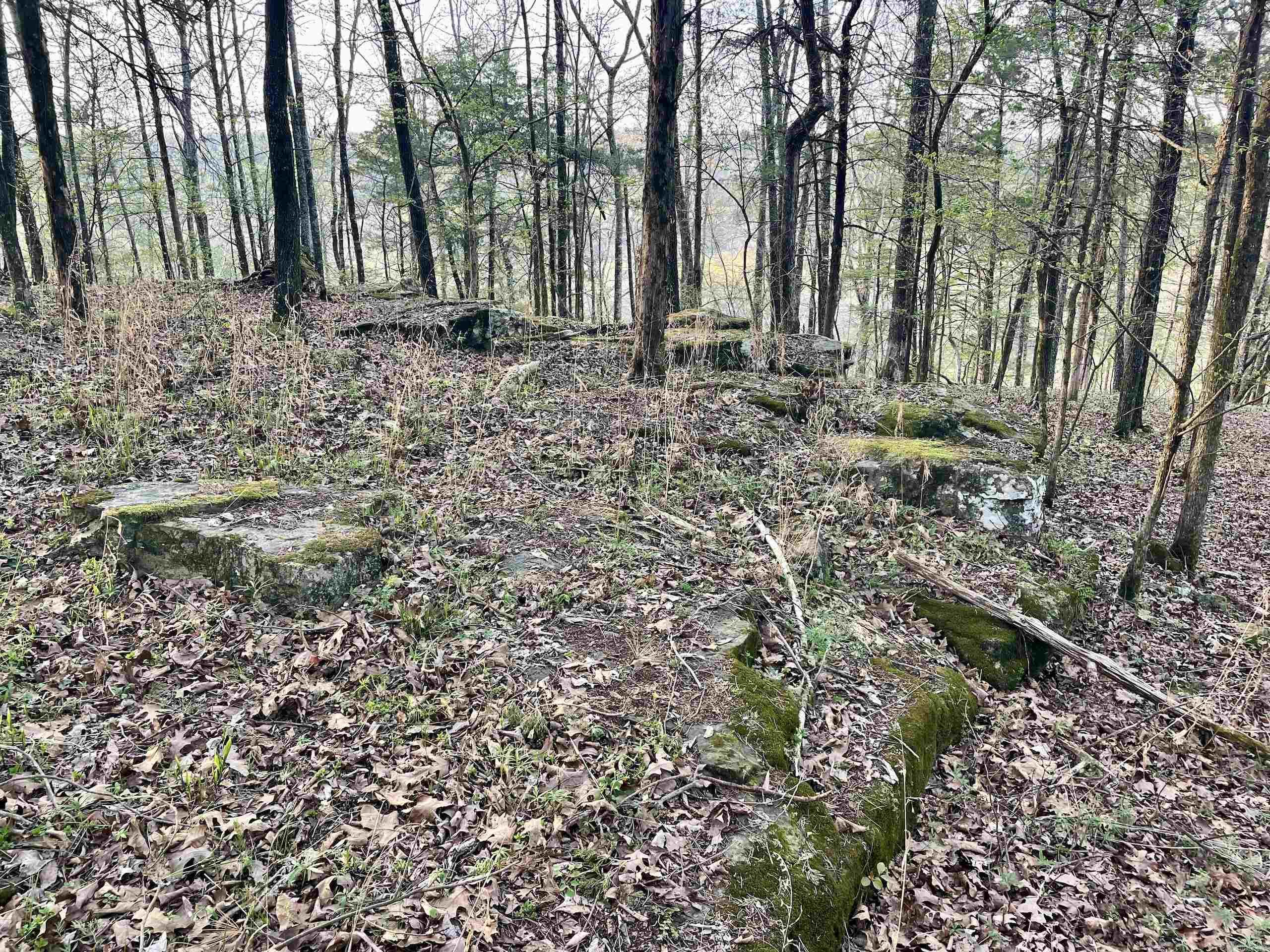 Paradise River Resort - Land