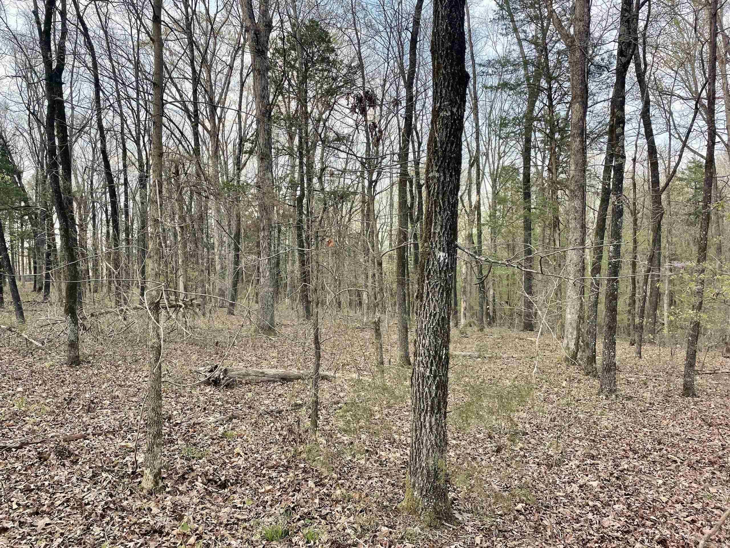 Paradise River Resort - Land