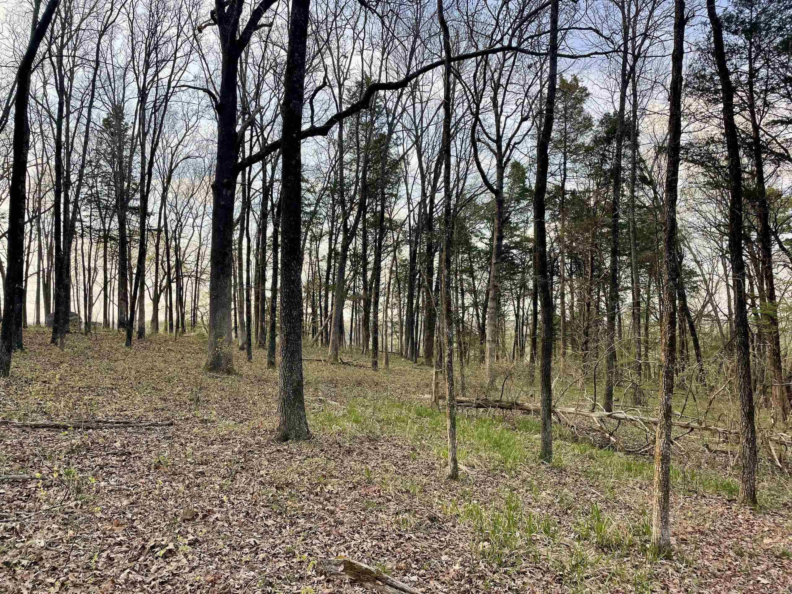 Paradise River Resort - Land